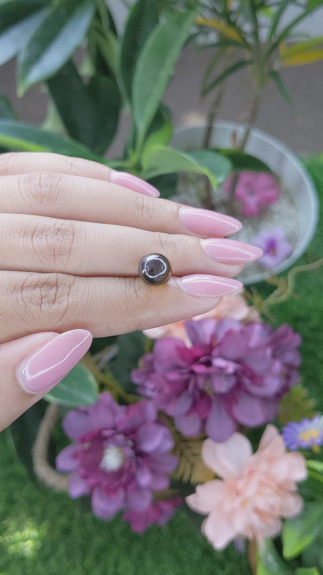 4.62 Ct. Brown Cabochon Chrysoberyl from Ceylon (Sri Lanka) Size Video