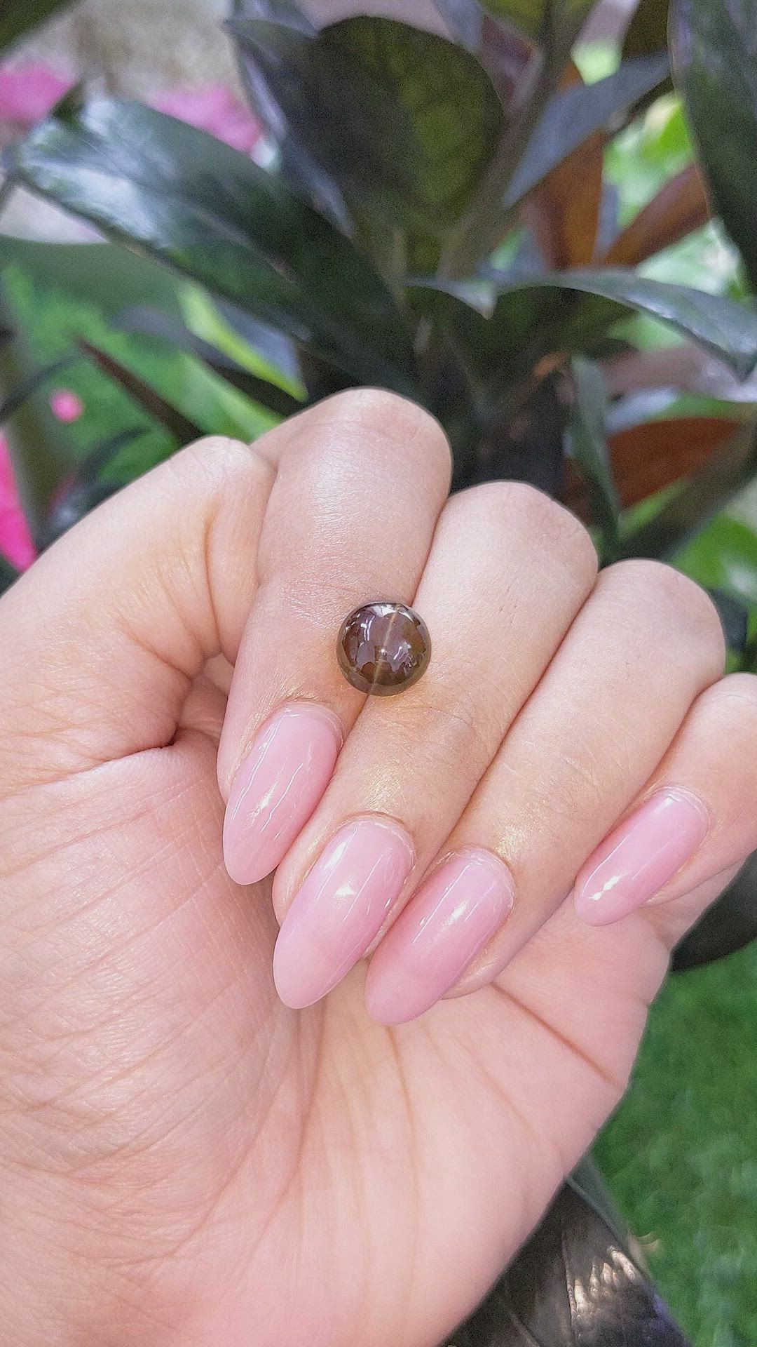 4.62 Ct. Brown Cabochon Chrysoberyl from Ceylon (Sri Lanka) Size Video