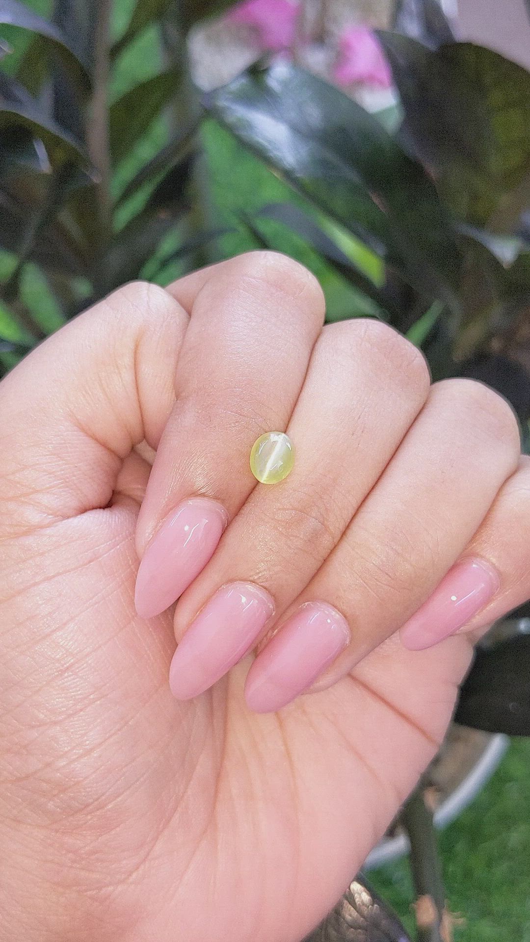 1.44 Ct. Greenish Yellow Cabochon Chrysoberyl from Madagascar Size Video