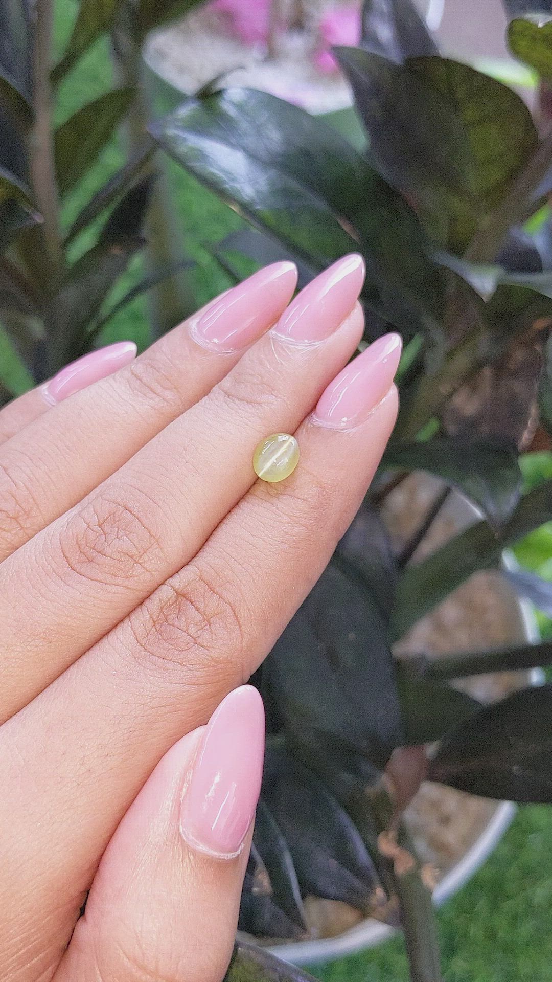 1.44 Ct. Greenish Yellow Cabochon Chrysoberyl from Madagascar Size Video