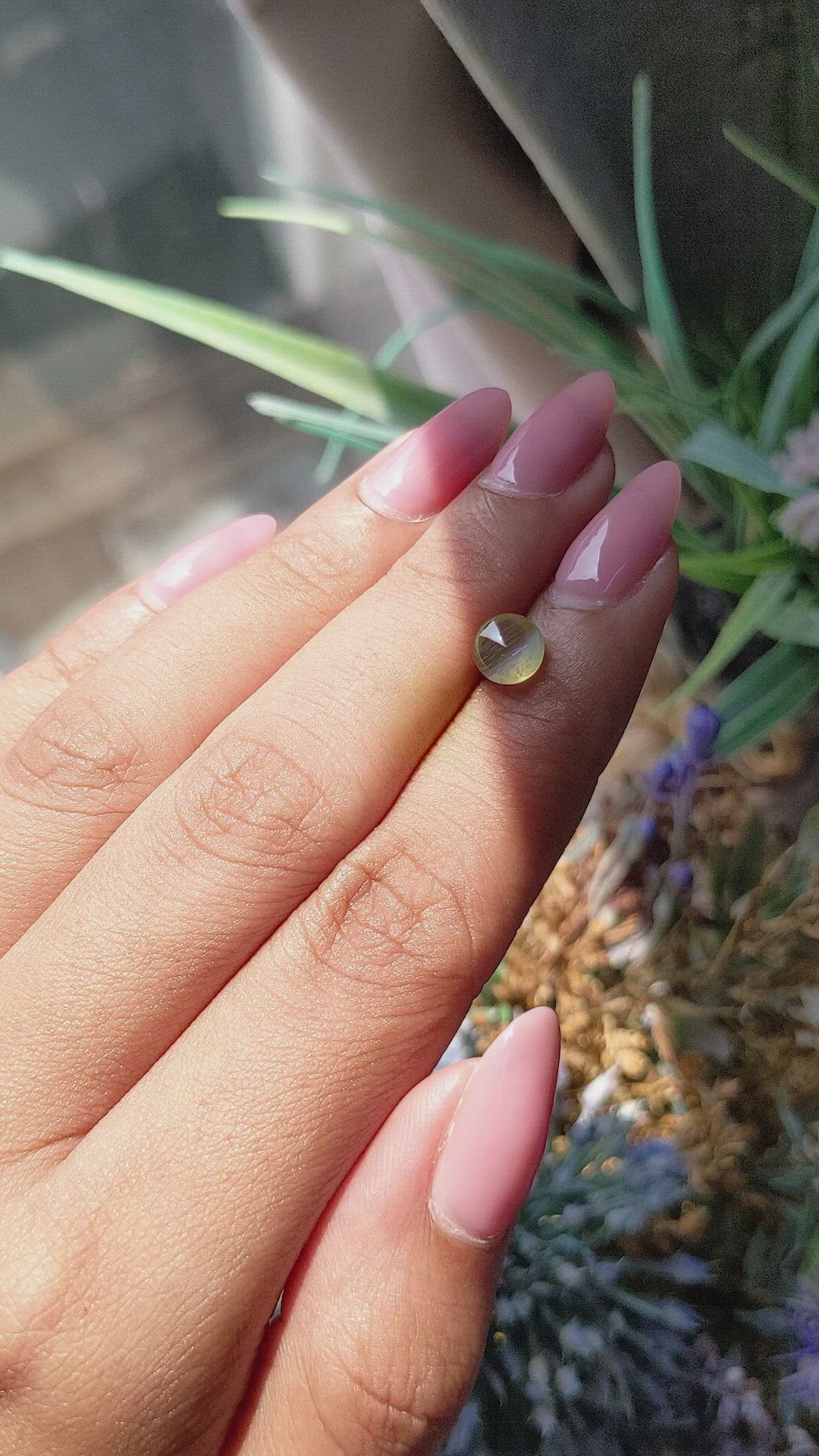 1.58 Ct. Greenish Yellow Cabochon Chrysoberyl from Ceylon (Sri Lanka) Size Video