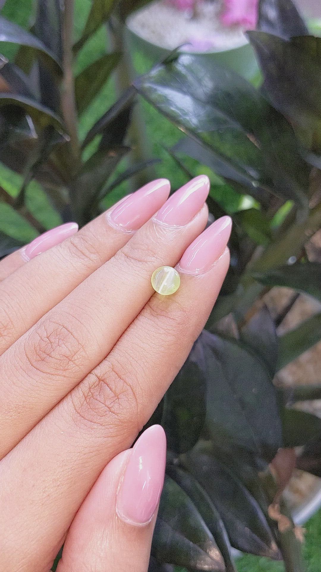 1.58 Ct. Greenish Yellow Cabochon Chrysoberyl from Ceylon (Sri Lanka) Size Video