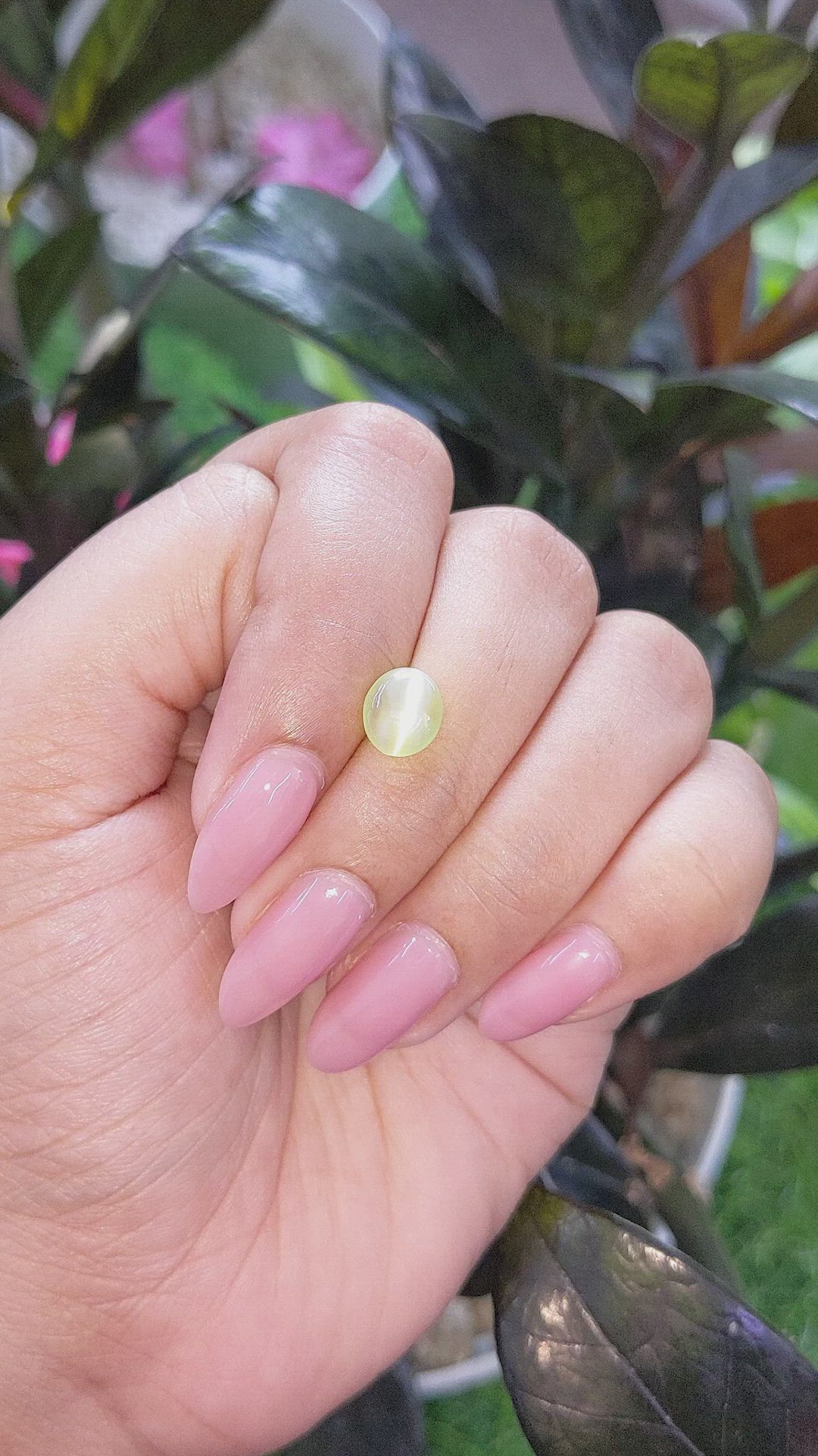 1.75 Ct. Green Cabochon Chrysoberyl from Madagascar Size Video