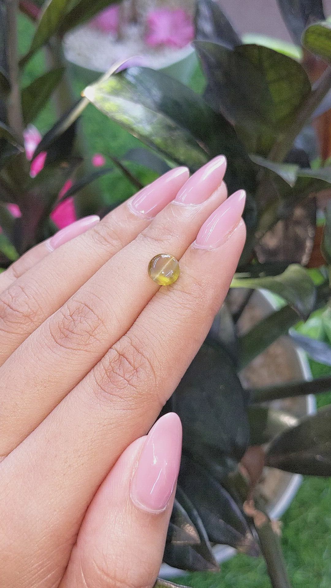 1.85 Ct. Greenish Brown Cabochon Chrysoberyl from Ceylon (Sri Lanka) Size Video