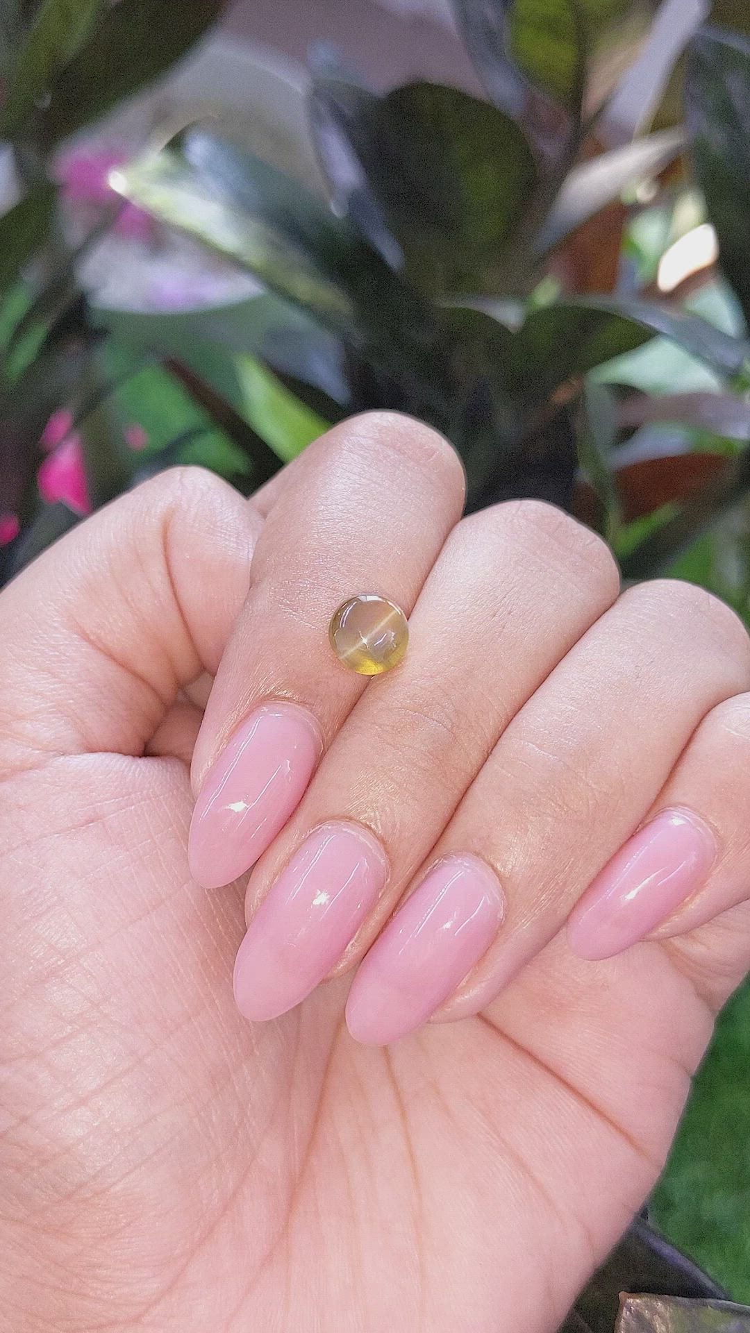 1.85 Ct. Greenish Brown Cabochon Chrysoberyl from Ceylon (Sri Lanka) Size Video