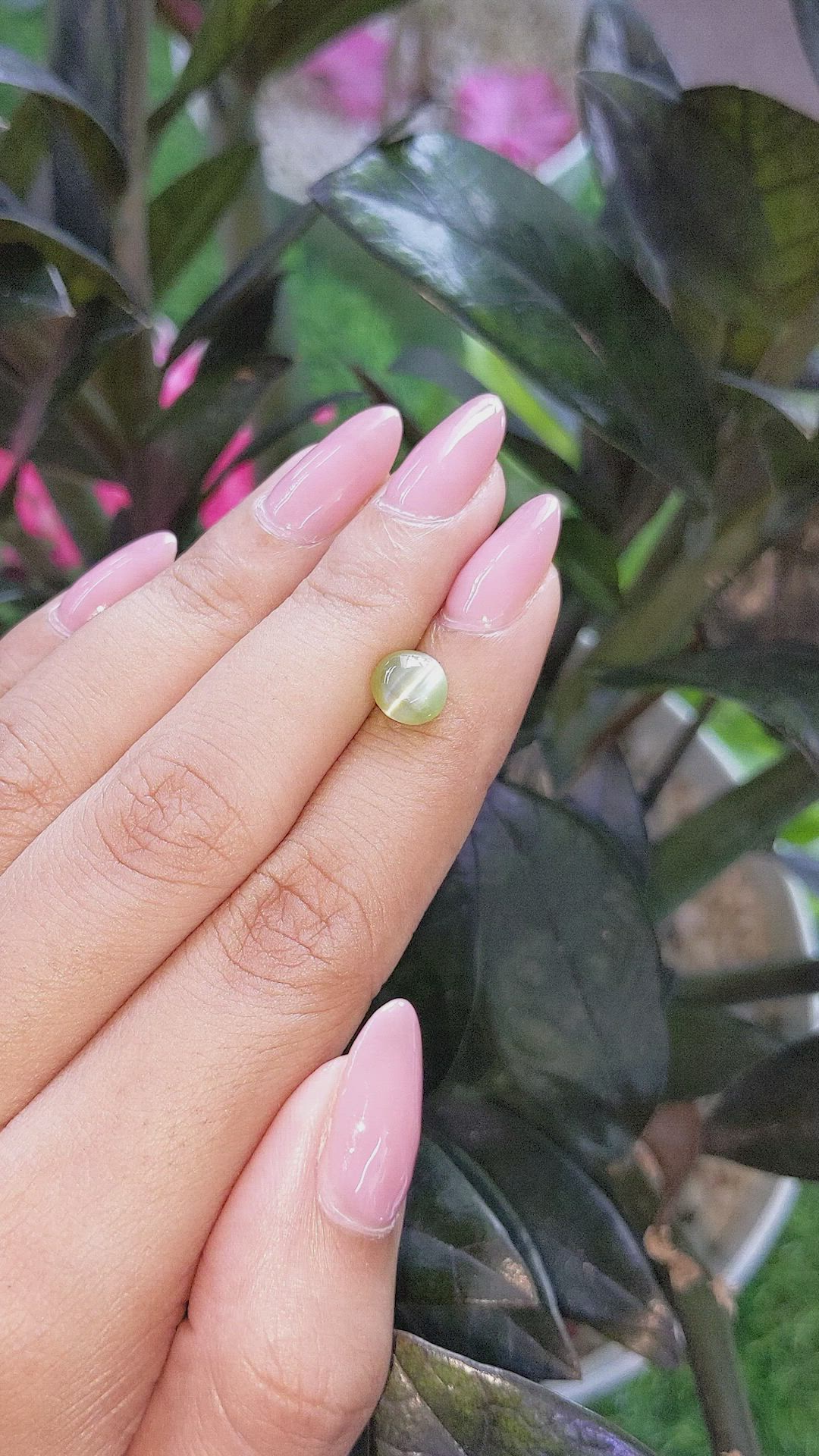 2.02 Ct. Green Cabochon Chrysoberyl from Ceylon (Sri Lanka) Size Video