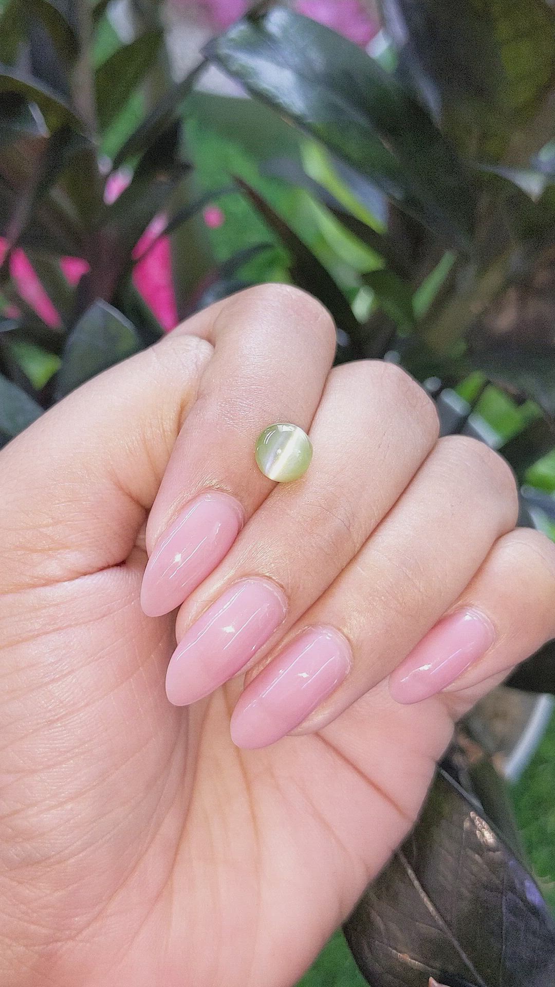 2.02 Ct. Green Cabochon Chrysoberyl from Ceylon (Sri Lanka) Size Video