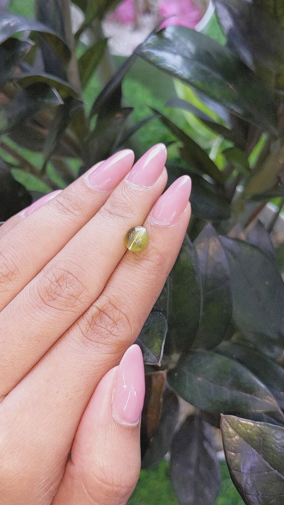 2.32 Ct. Brownish Green Cabochon Chrysoberyl from Madagascar Size Video