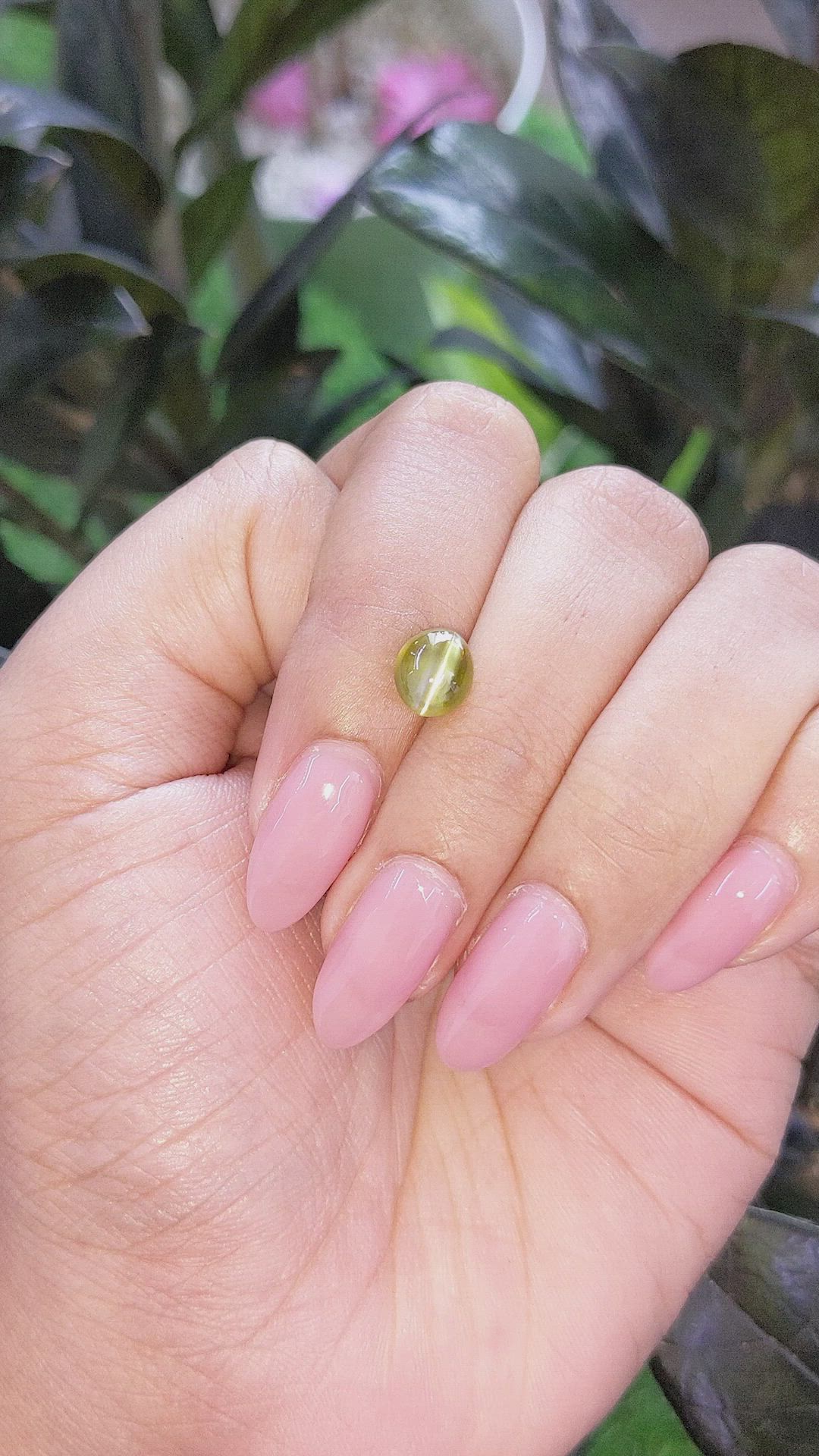 2.32 Ct. Brownish Green Cabochon Chrysoberyl from Madagascar Size Video