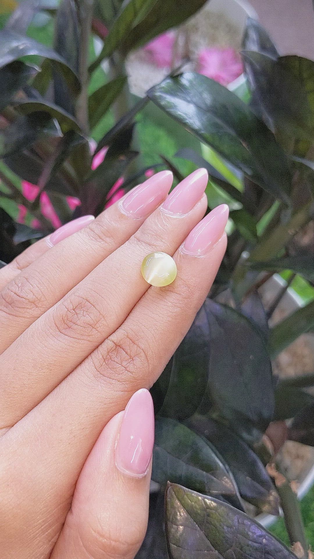 3.57 Ct. Greenish Yellow Cabochon Chrysoberyl from Ceylon (Sri Lanka) Size Video