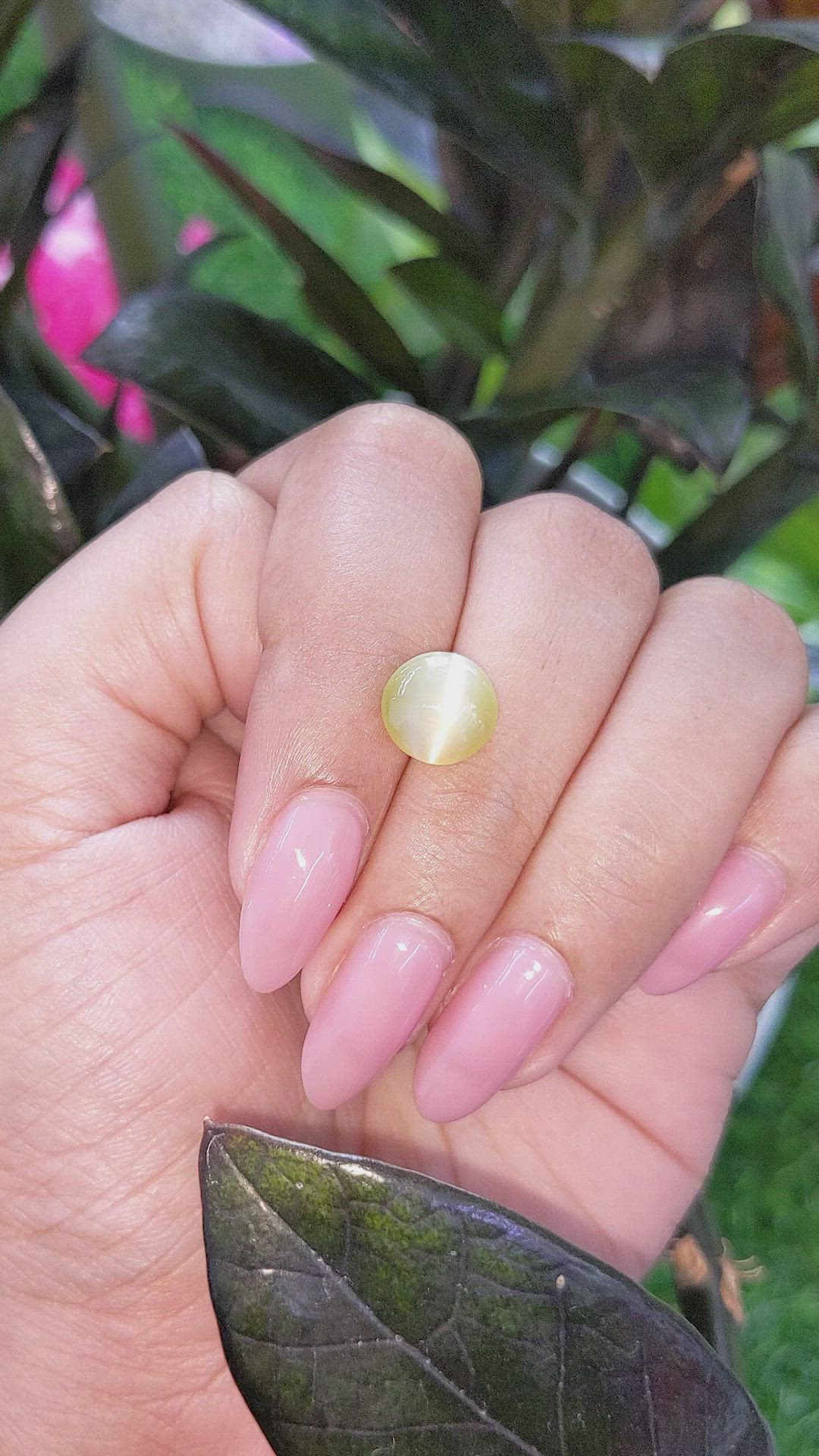 3.57 Ct. Greenish Yellow Cabochon Chrysoberyl from Ceylon (Sri Lanka) Size Video