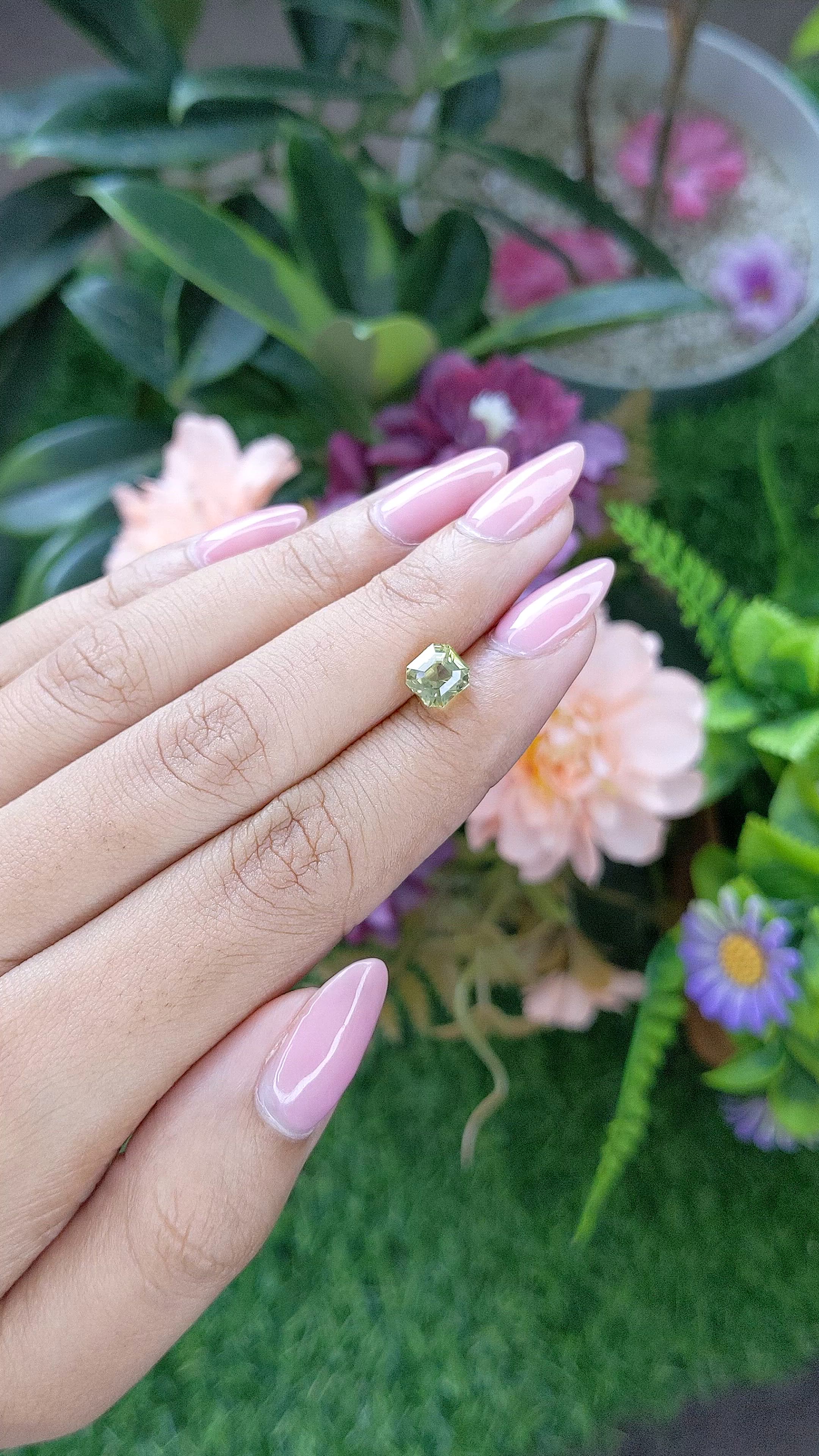 1.76 Ct. Greenish Yellow Chrysoberyl from Tanzania Size Video