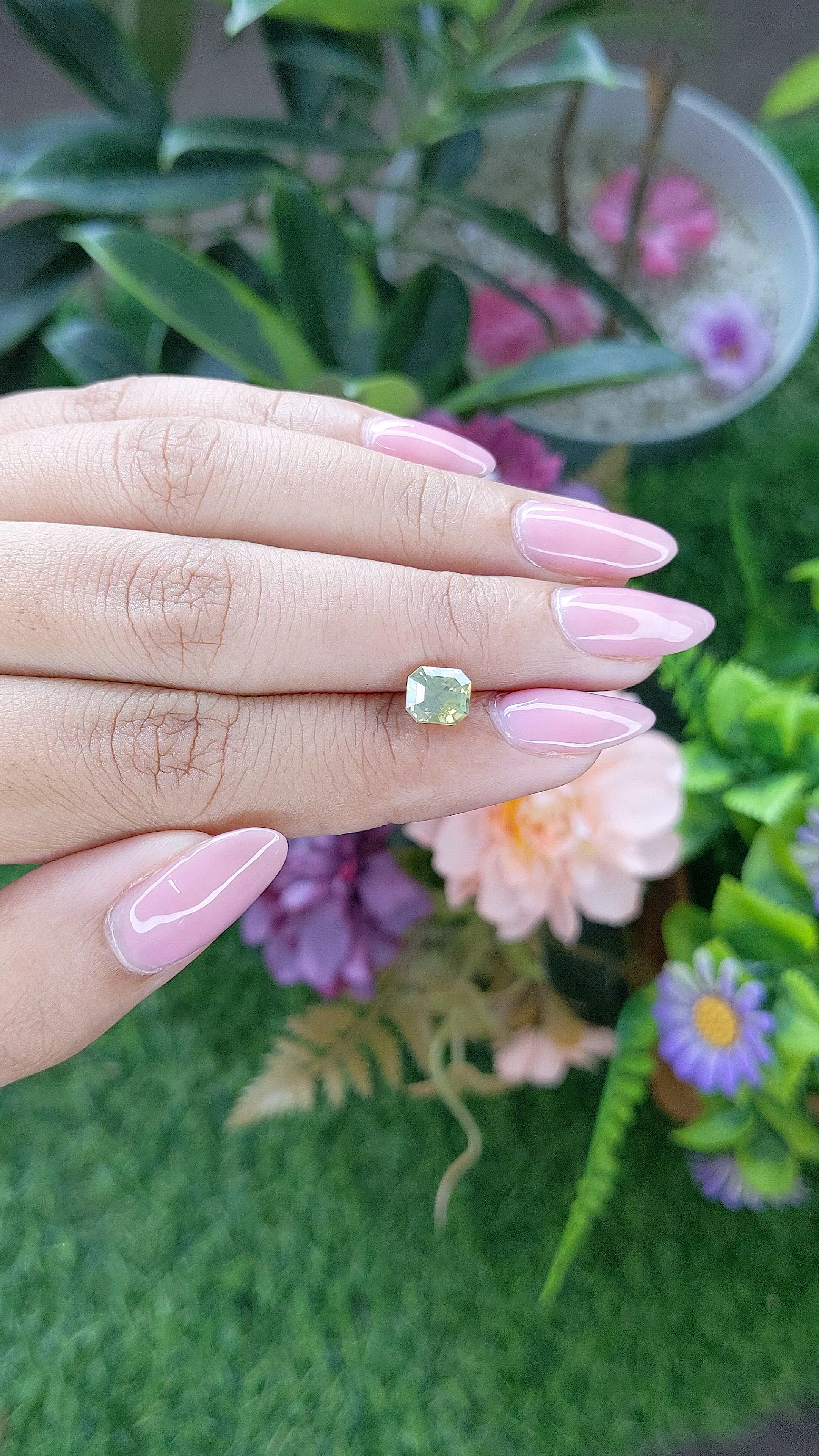 1.37 Ct. Yellowish Green Chrysoberyl from Tanzania Size Video