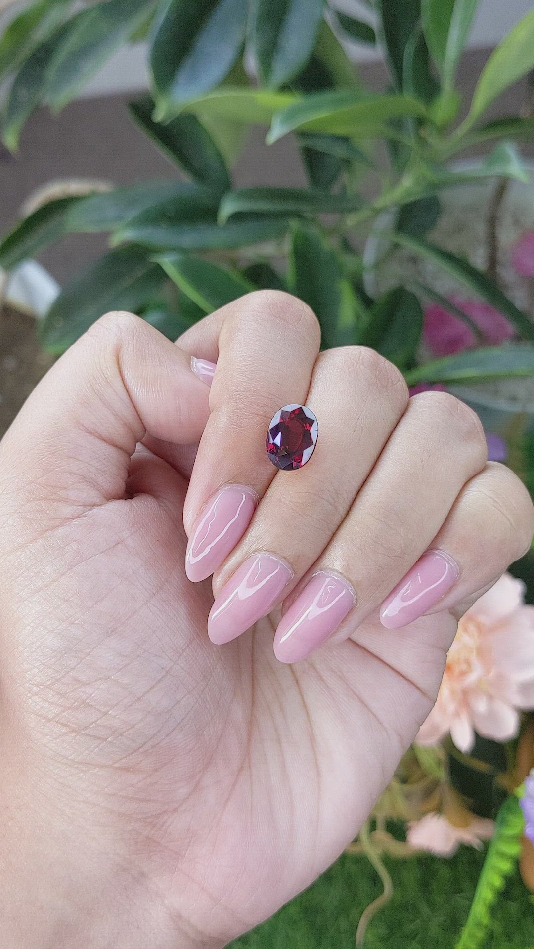 3.55 Ct. Garnet from Ceylon (Sri Lanka) Size Video