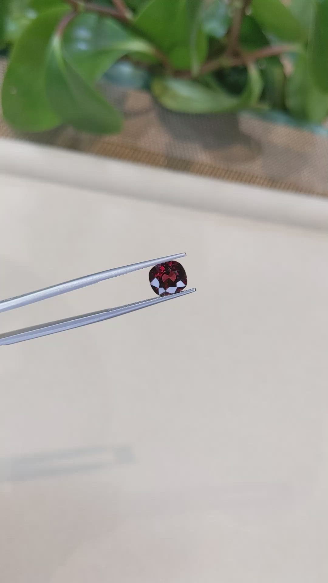 2.79 Ct. Garnet from Mozambique Size Video