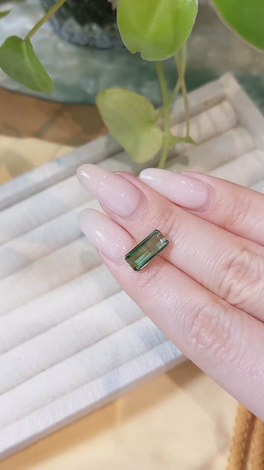 2.79 Ct. Tourmaline from Mozambique Size Video