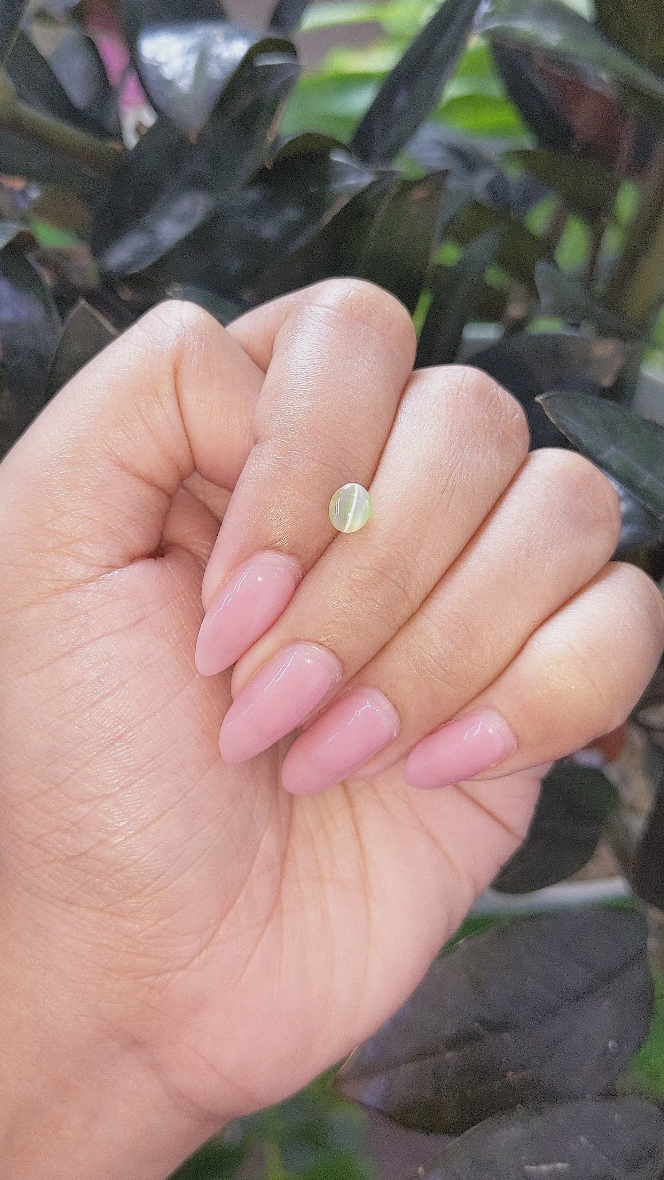 0.67 Ct. Green Cabochon Chrysoberyl from Tanzania Size Video
