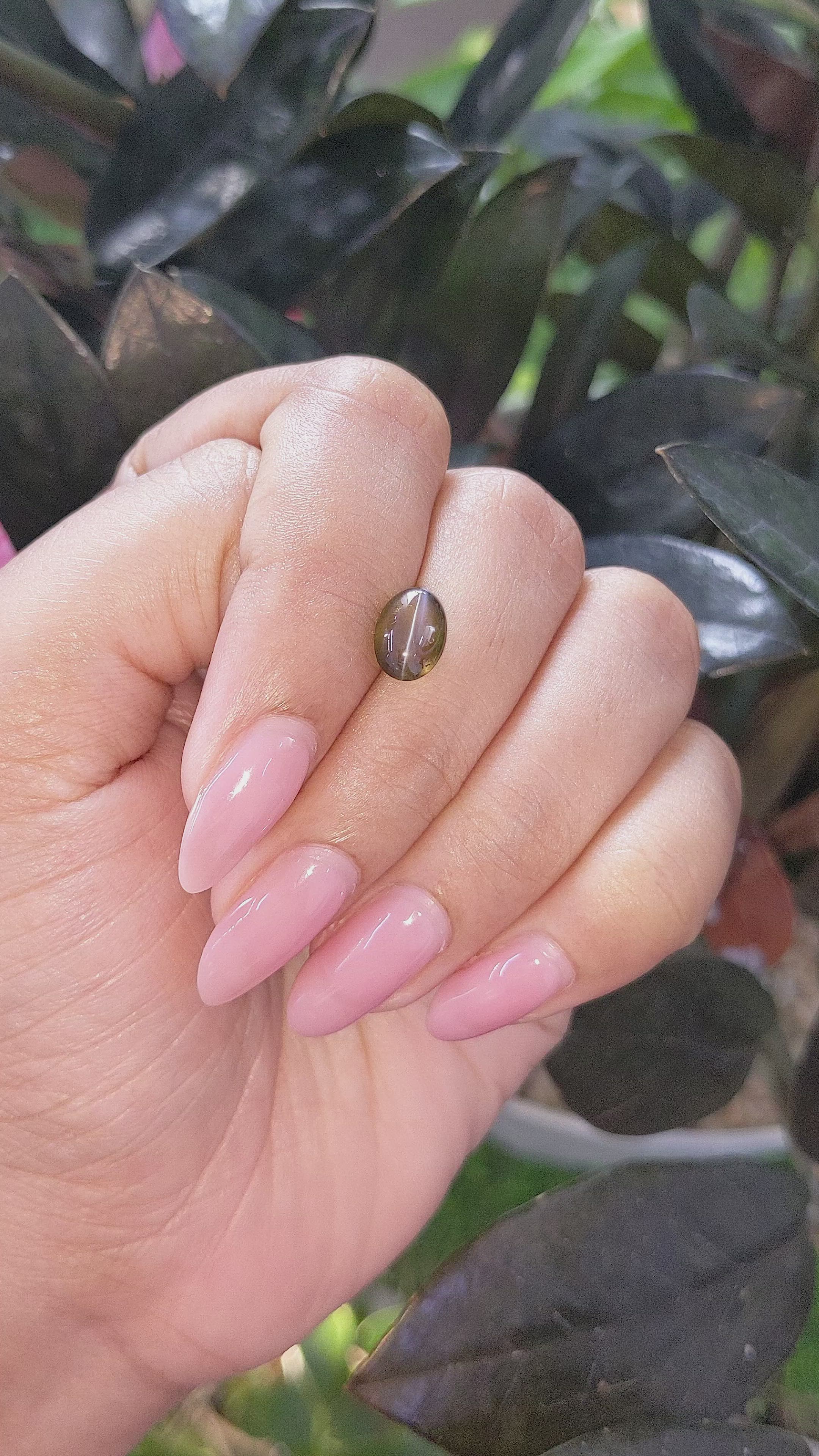 2.32 Ct. Greenish Brown Cabochon Chrysoberyl from Tanzania Size Video