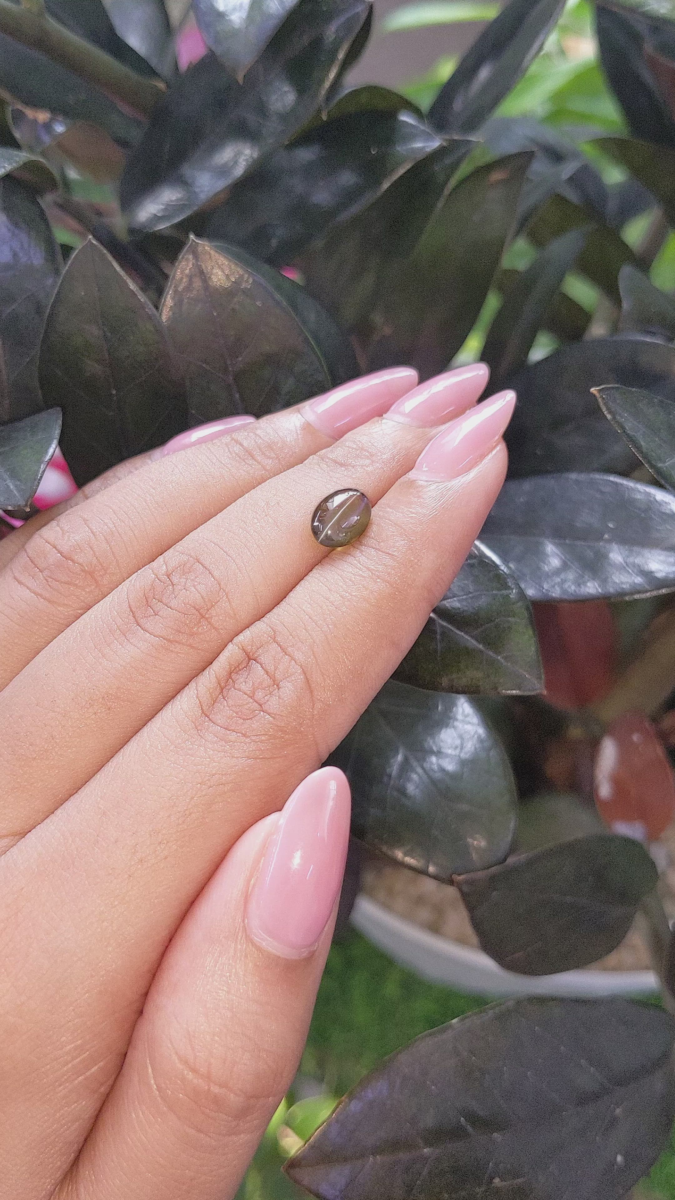 2.32 Ct. Greenish Brown Cabochon Chrysoberyl from Tanzania Size Video