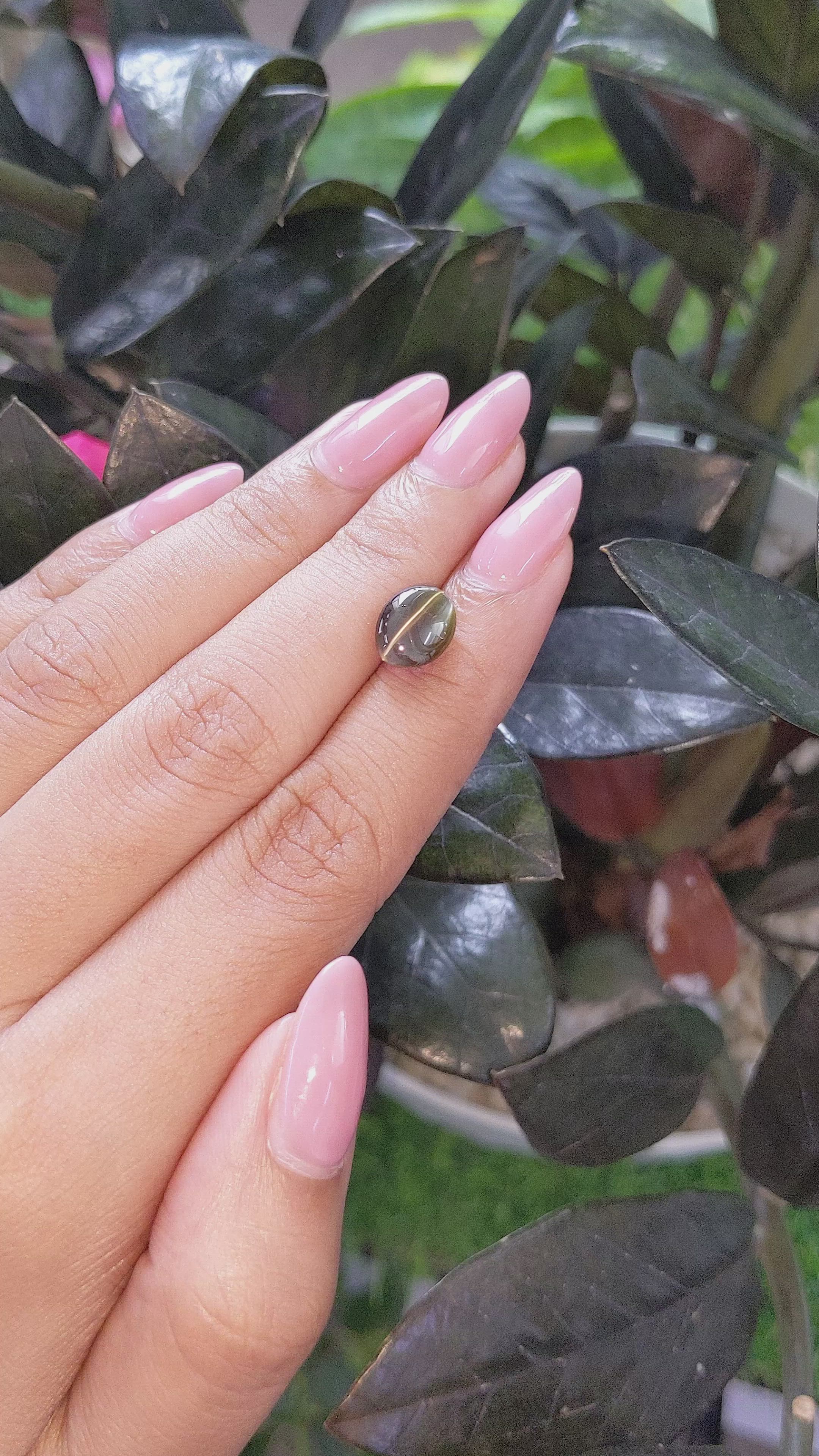 3.53 Ct. Brownish Green Cabochon Chrysoberyl from Tanzania Size Video