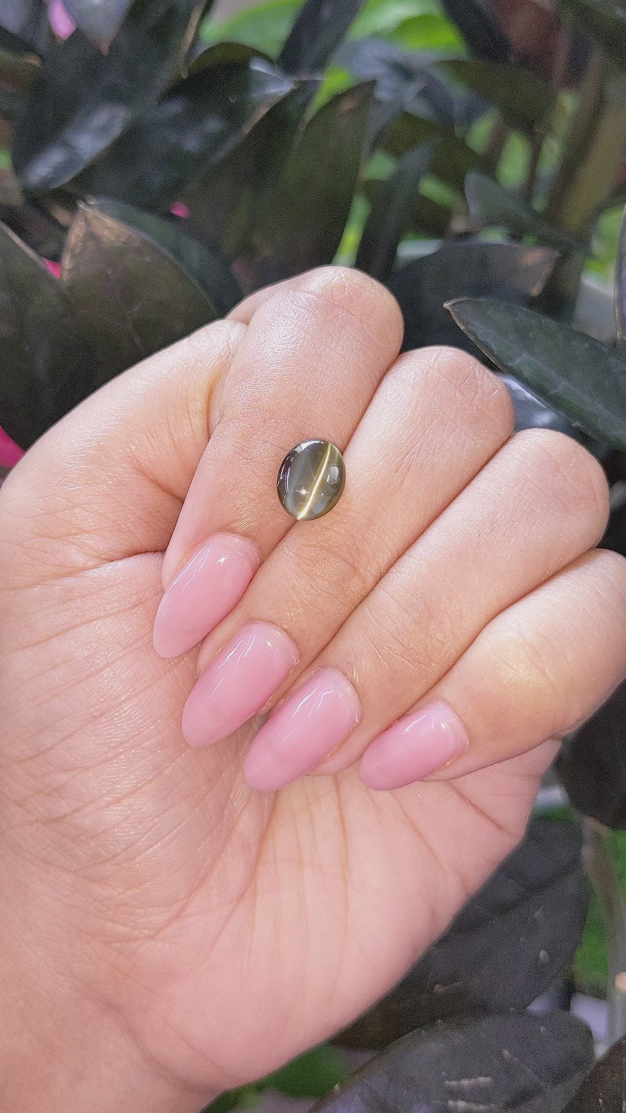 3.53 Ct. Brownish Green Cabochon Chrysoberyl from Tanzania Size Video