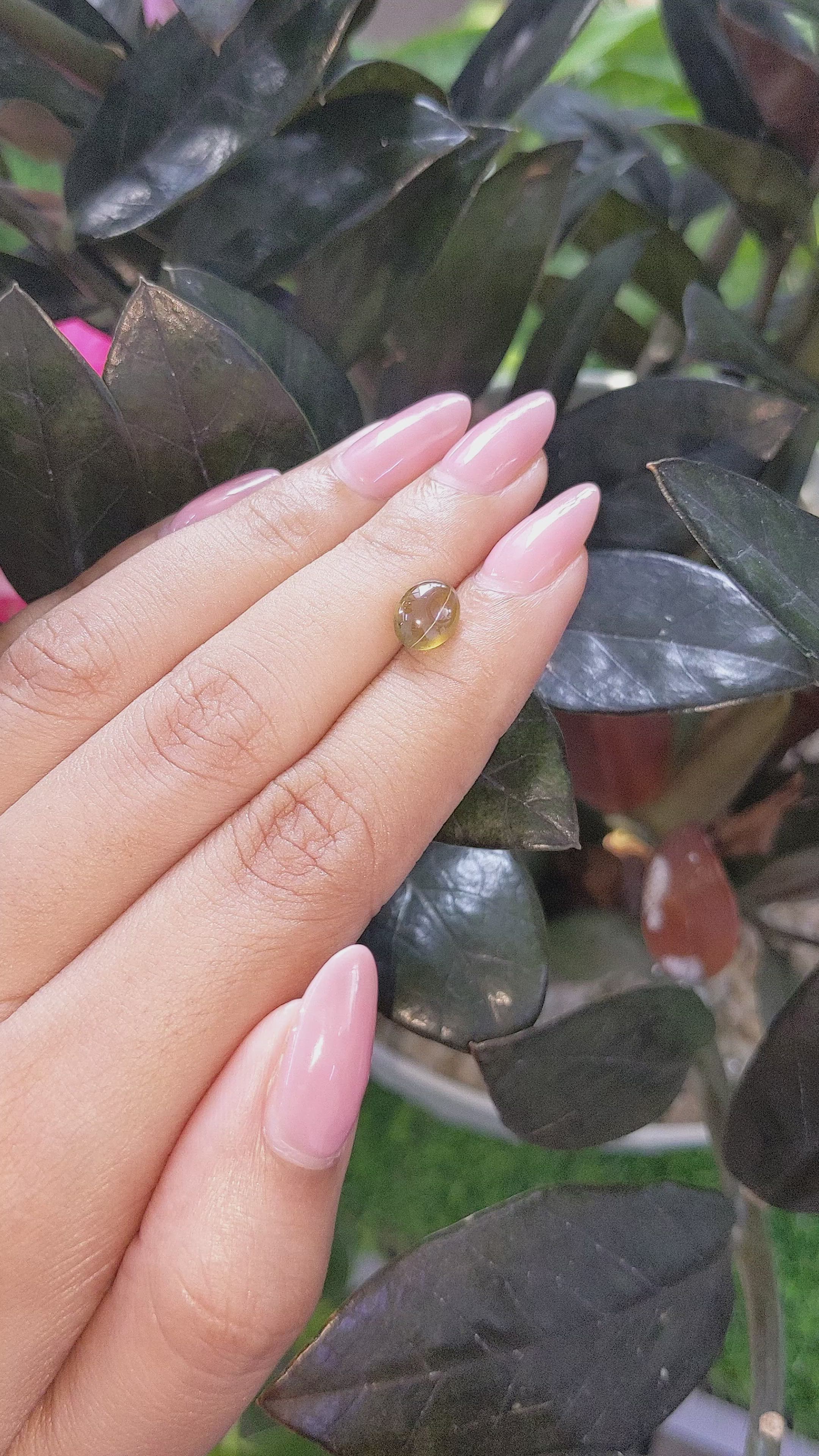 2.05 Ct. Brownish Yellow Cabochon Chrysoberyl from Tanzania Size Video