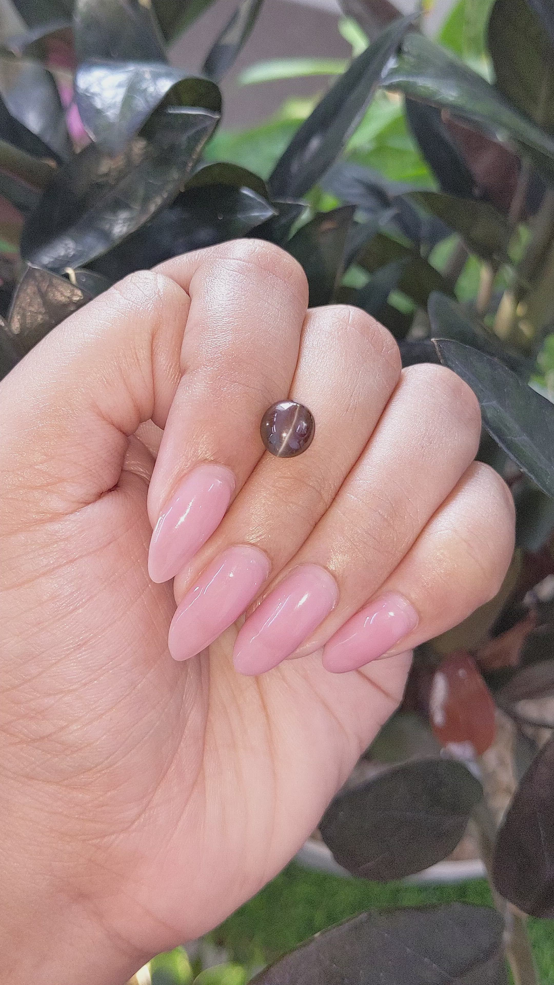 3.06 Ct. Greenish Brown Cabochon Chrysoberyl from Tanzania Size Video