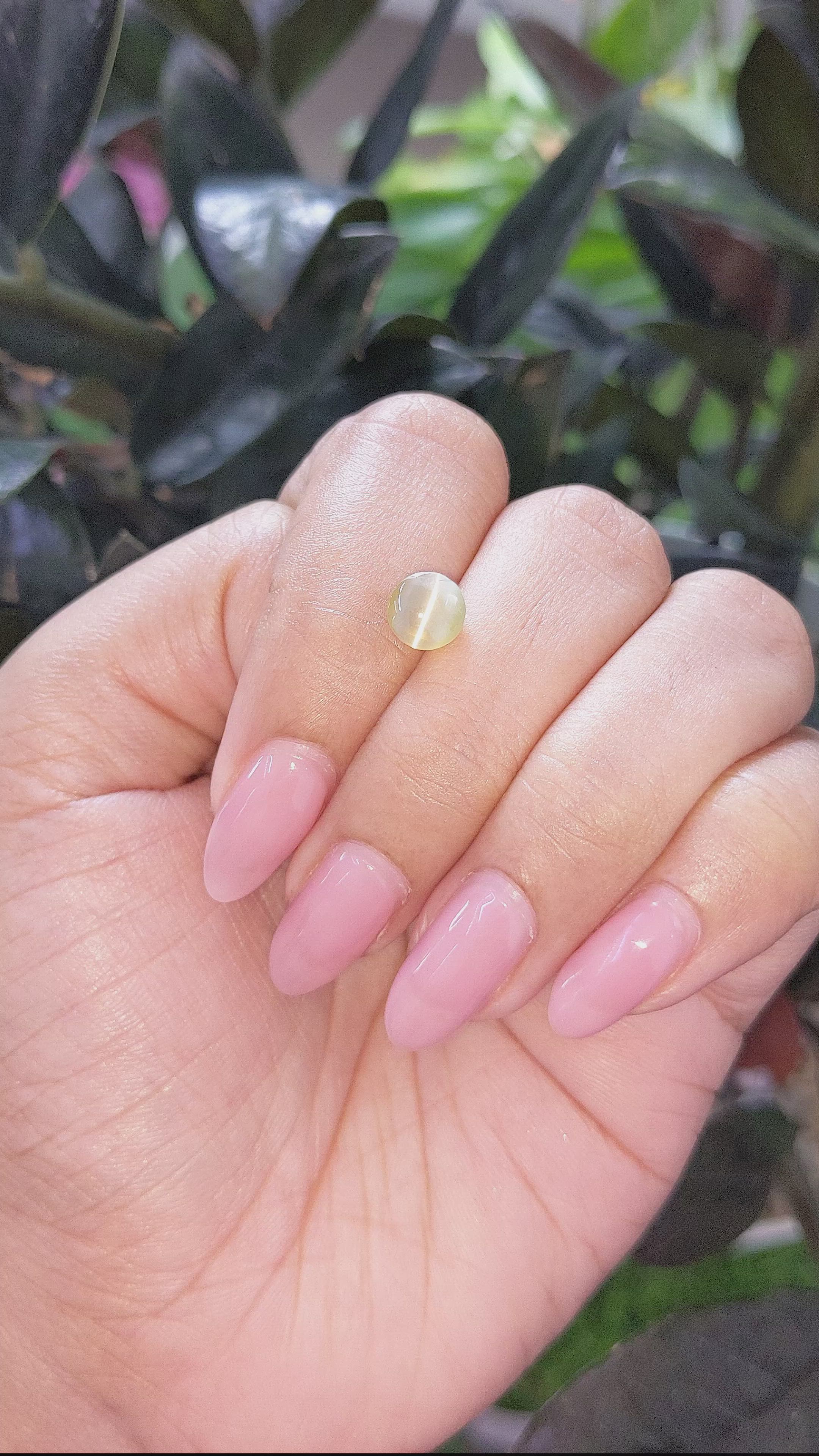 2.13 Ct. Greenish Yellow Cabochon Chrysoberyl from Tanzania Size Video