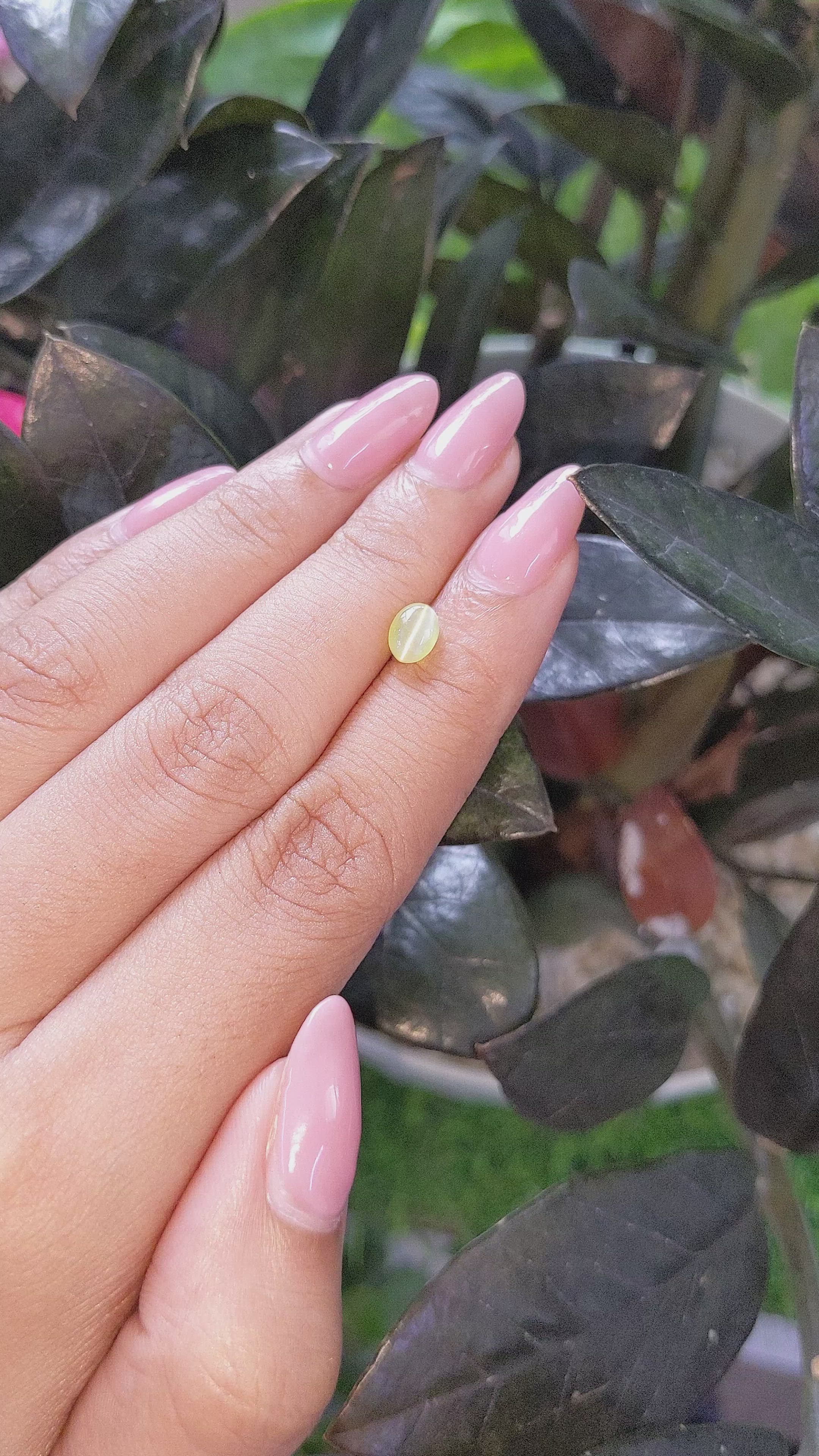 1.19 Ct. Cabochon Chrysoberyl from Tanzania Size Video