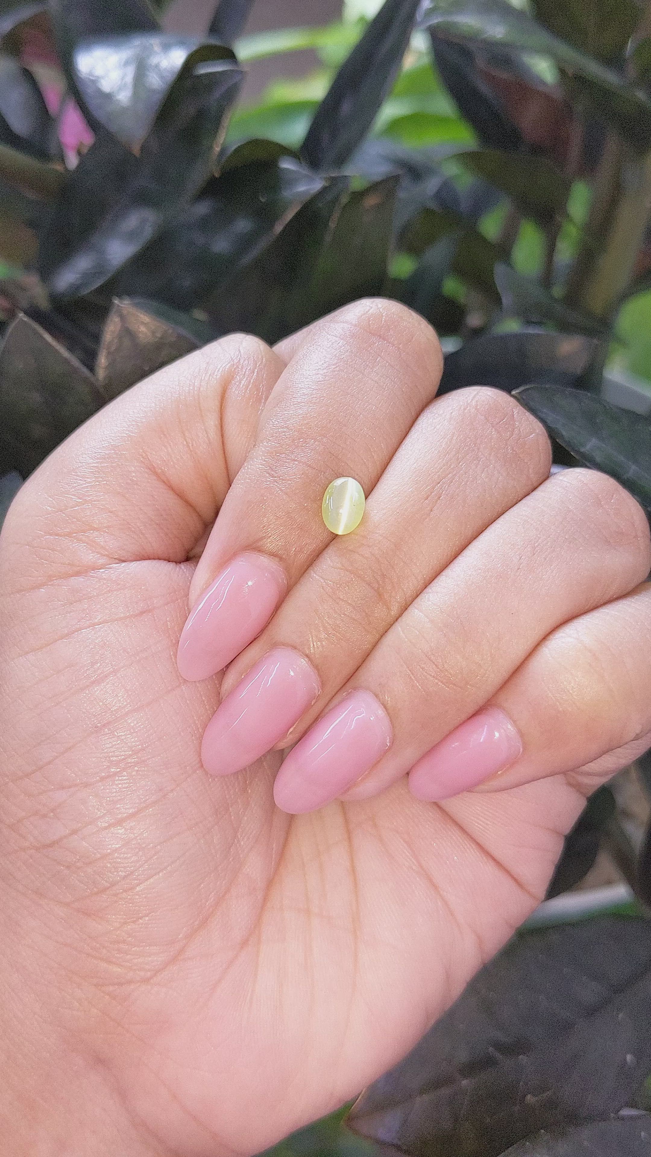 1.19 Ct. Cabochon Chrysoberyl from Tanzania Size Video