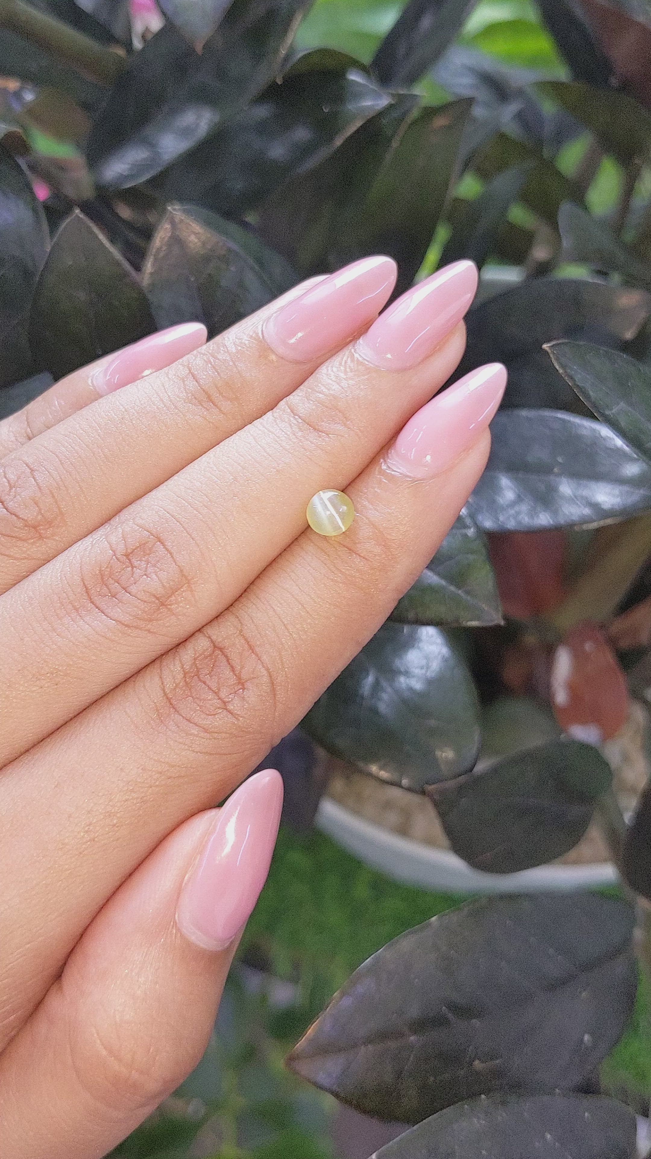 0.92 Ct. Greenish Yellow Cabochon Chrysoberyl from Tanzania Size Video