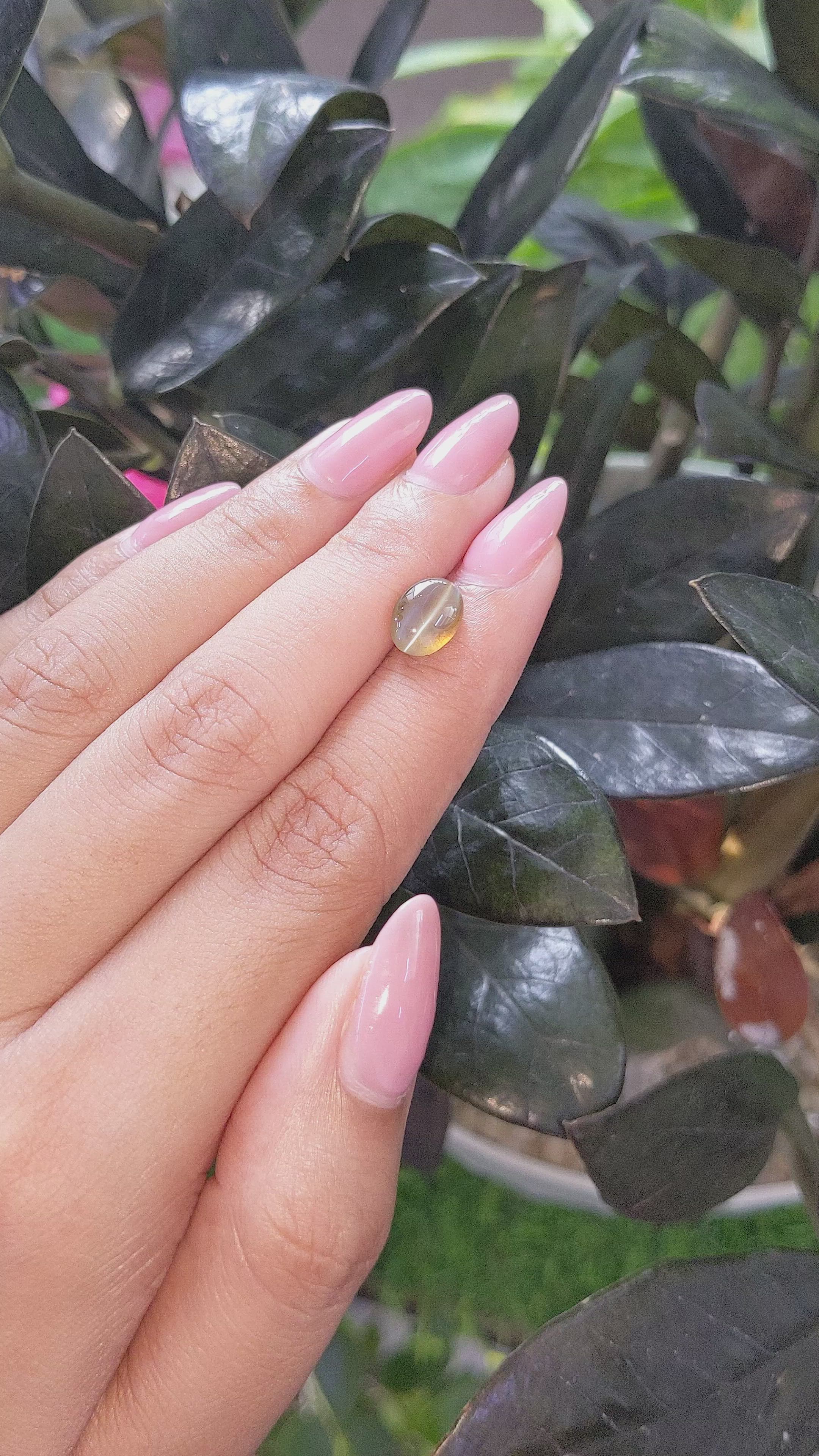 2.51 Ct. Cabochon Chrysoberyl from Tanzania Size Video