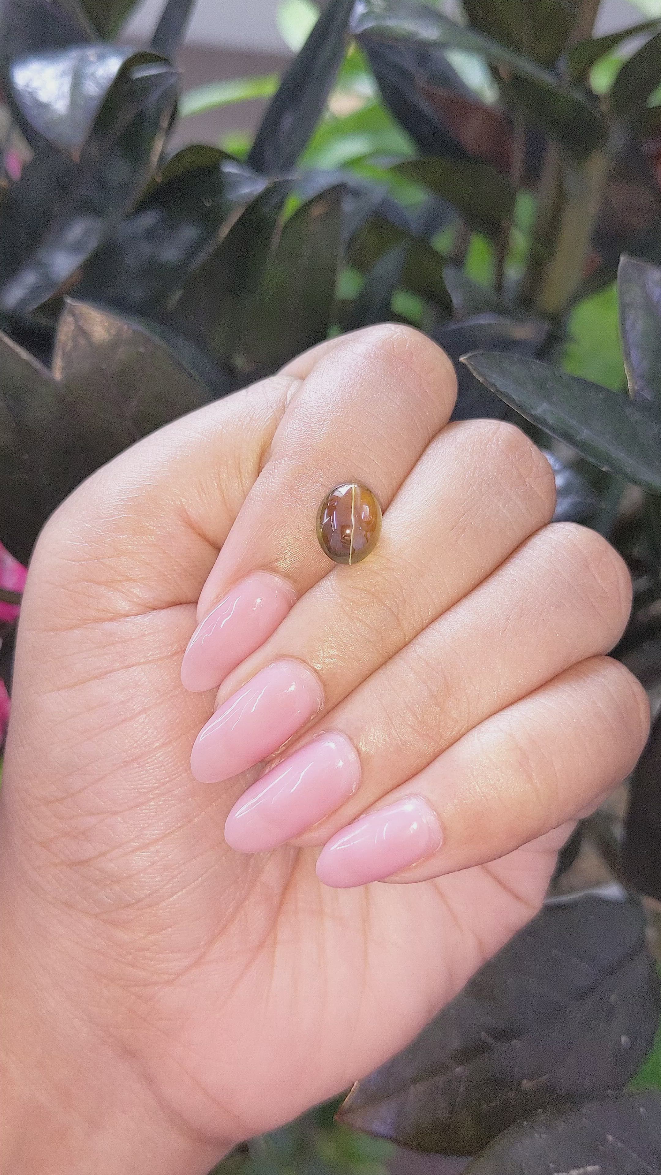 3.65 Ct. Cabochon Chrysoberyl from Tanzania Size Video