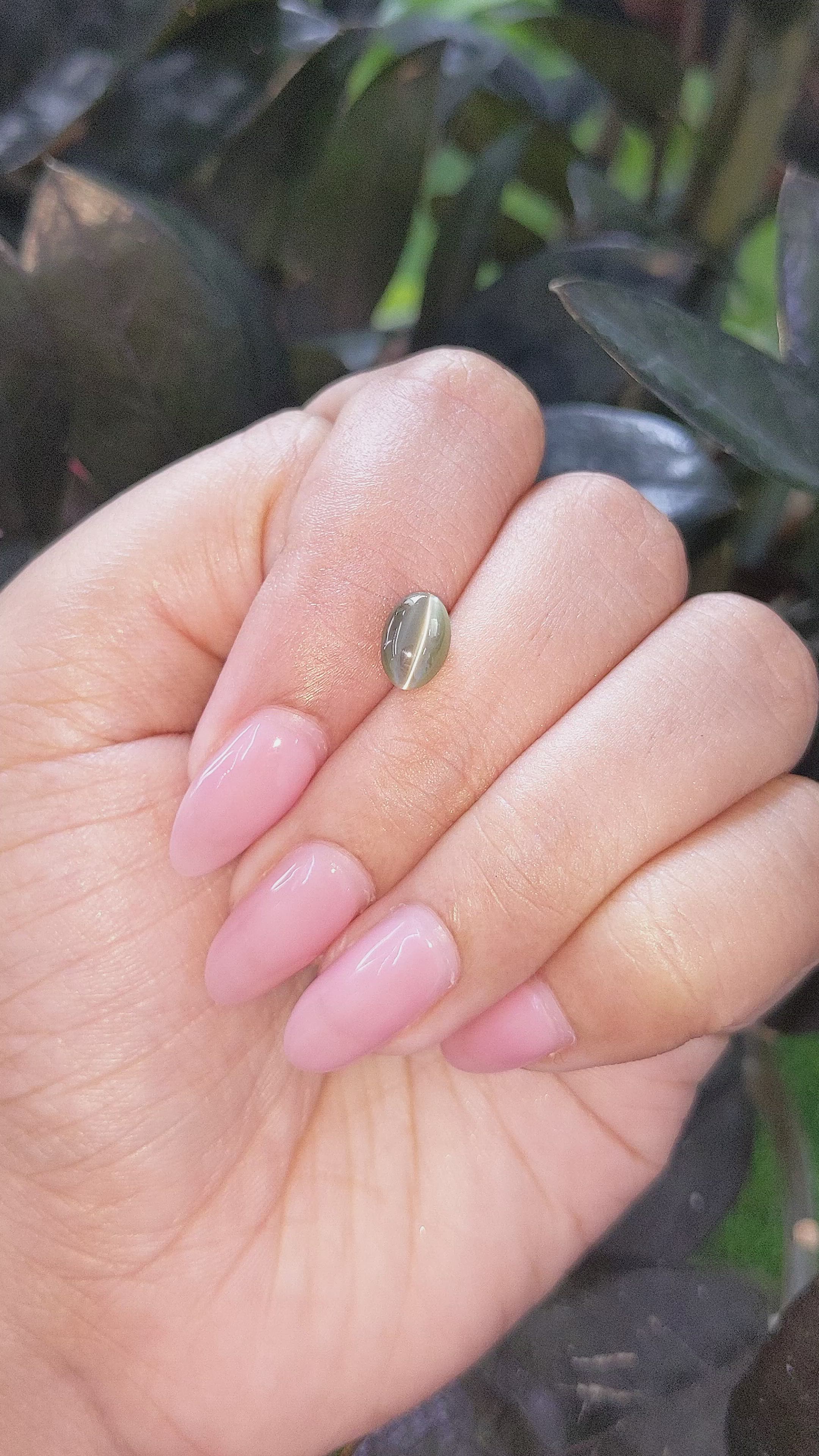 1.78 Ct. Green Cabochon Chrysoberyl from Tanzania Size Video