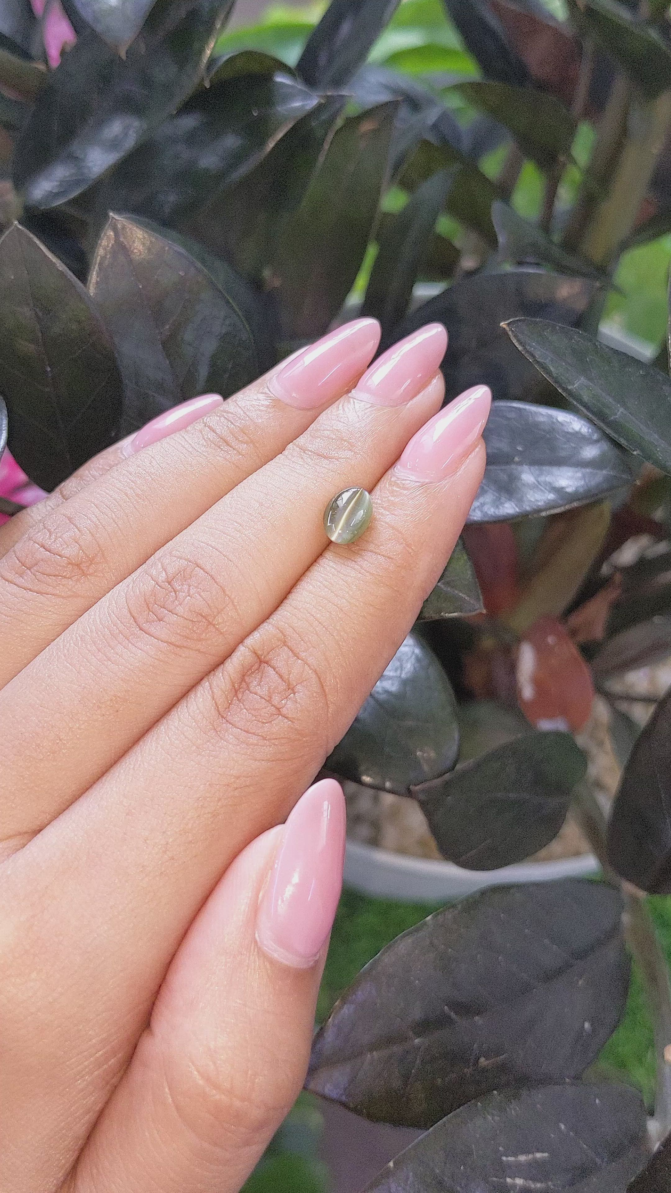 1.78 Ct. Green Cabochon Chrysoberyl from Tanzania Size Video