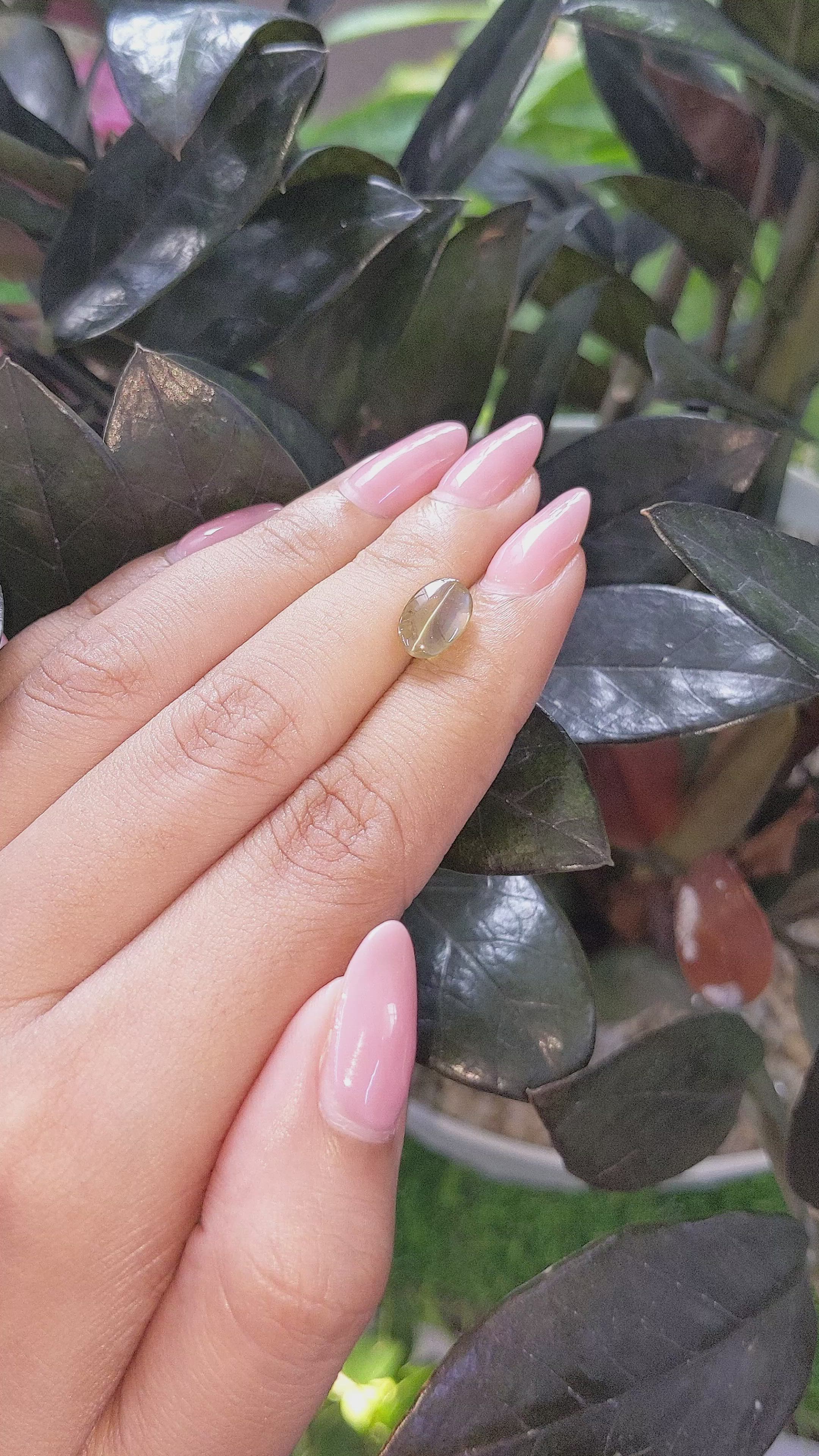 3.03 Ct. Cabochon Chrysoberyl from Tanzania Size Video