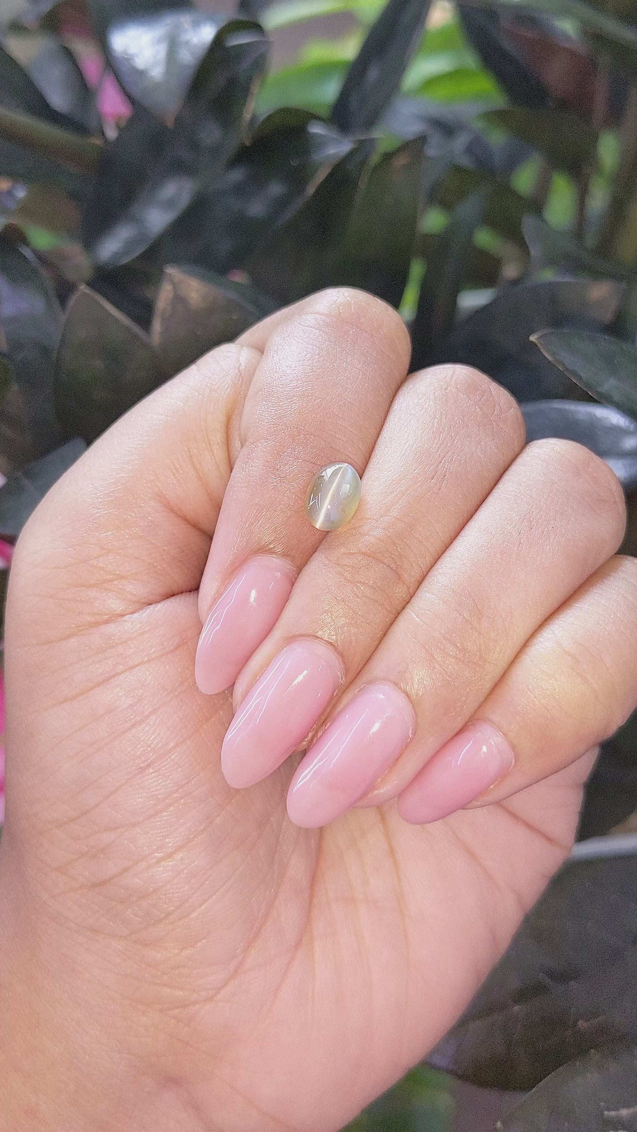 2.14 Ct. Yellowish Green Cabochon Chrysoberyl from Tanzania Size Video