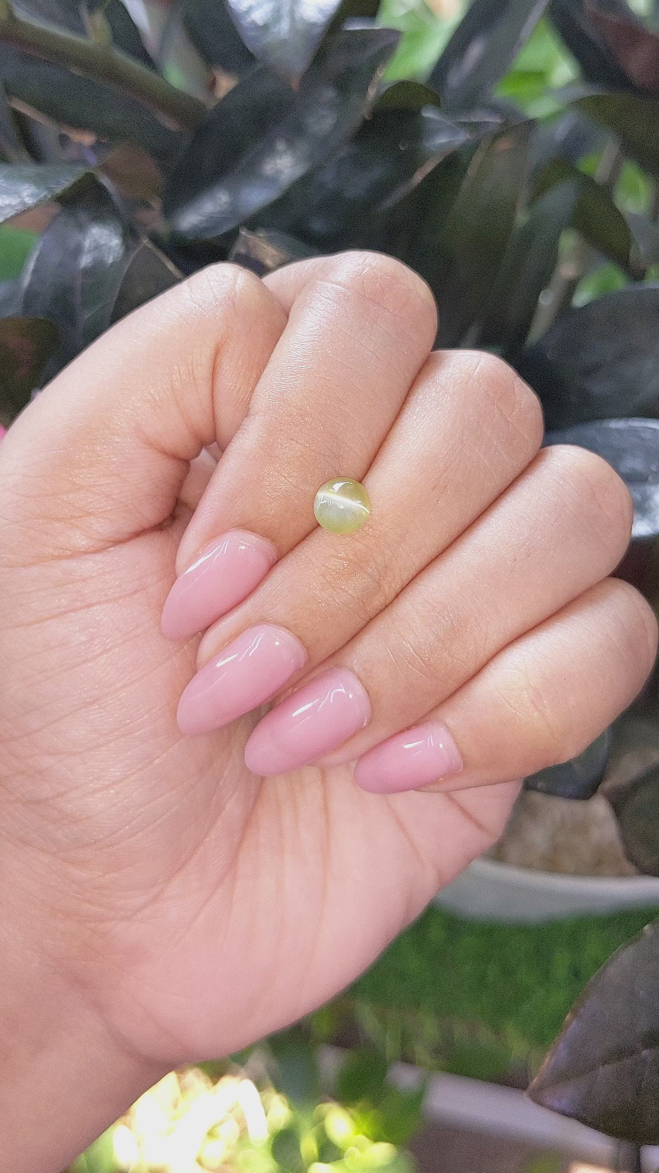 1.44 Ct. Cabochon Chrysoberyl from Tanzania Size Video