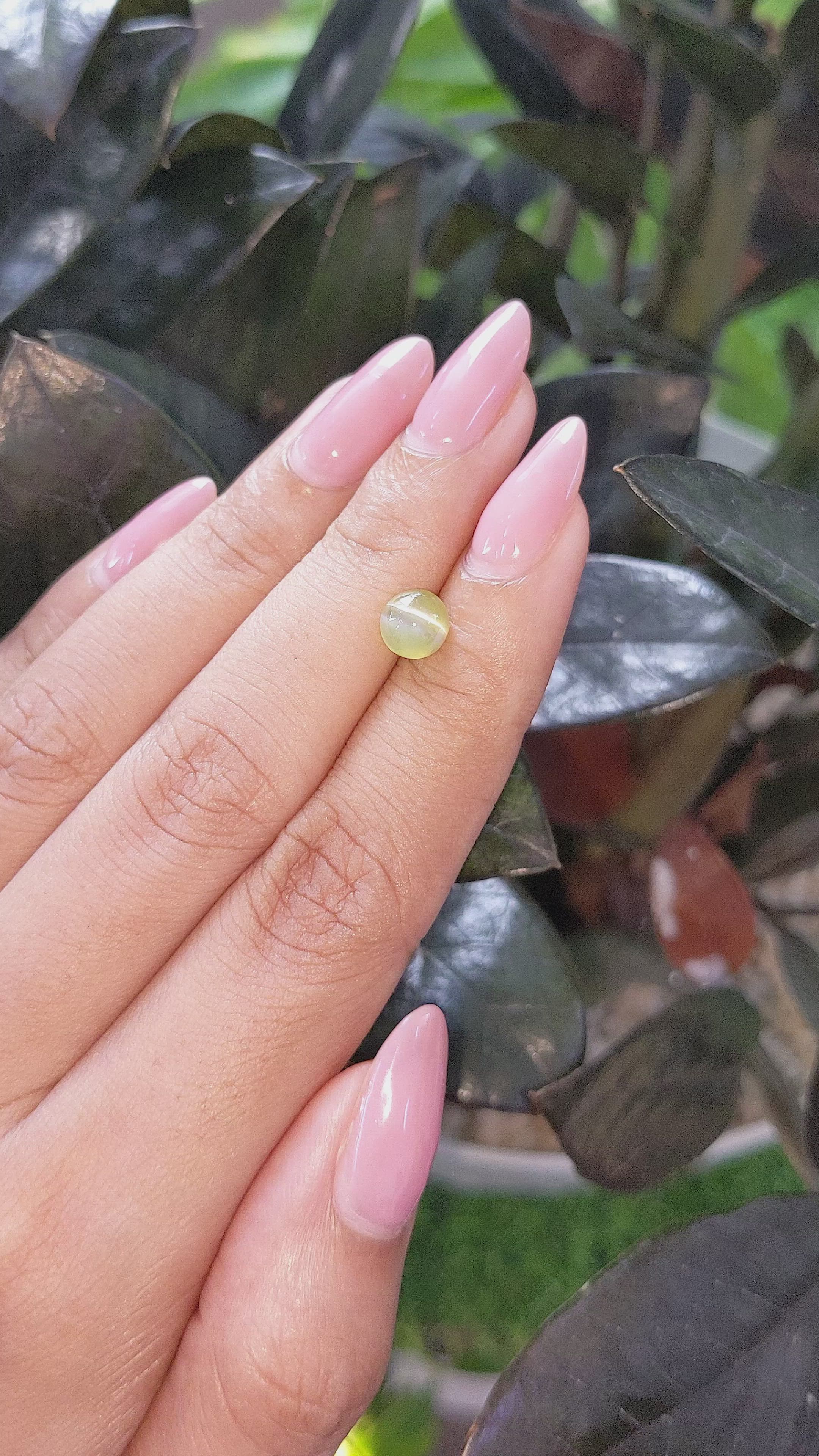 1.44 Ct. Cabochon Chrysoberyl from Tanzania Size Video