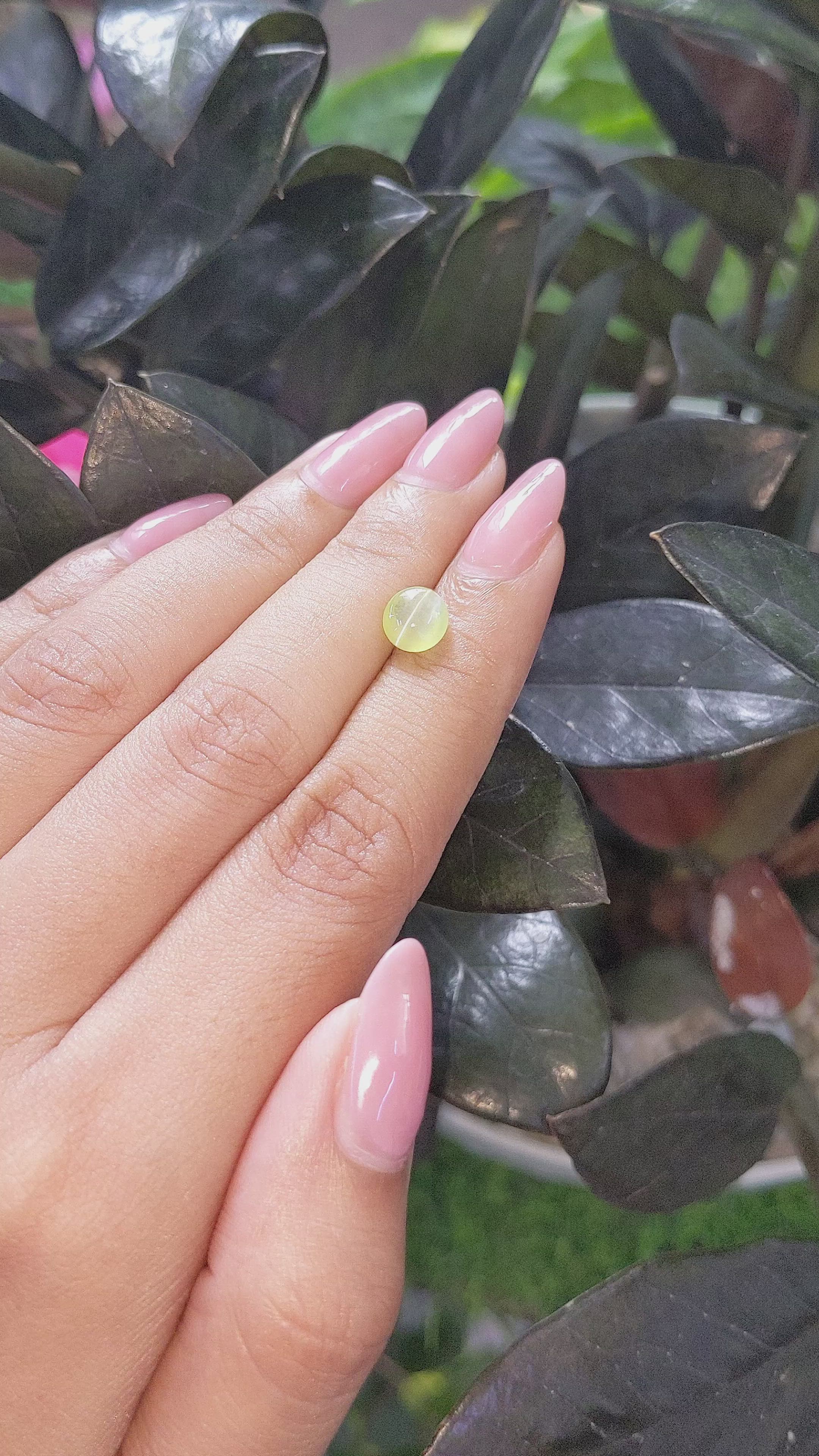 1.76 Ct. Yellowish Green Cabochon Chrysoberyl from Tanzania Size Video