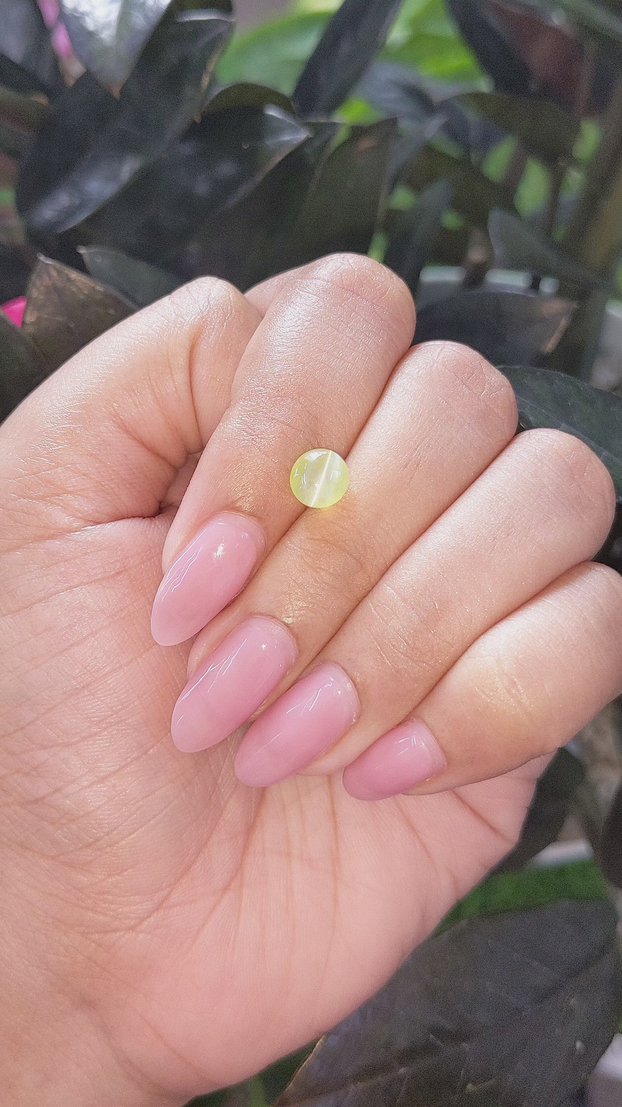 1.76 Ct. Yellowish Green Cabochon Chrysoberyl from Tanzania Size Video