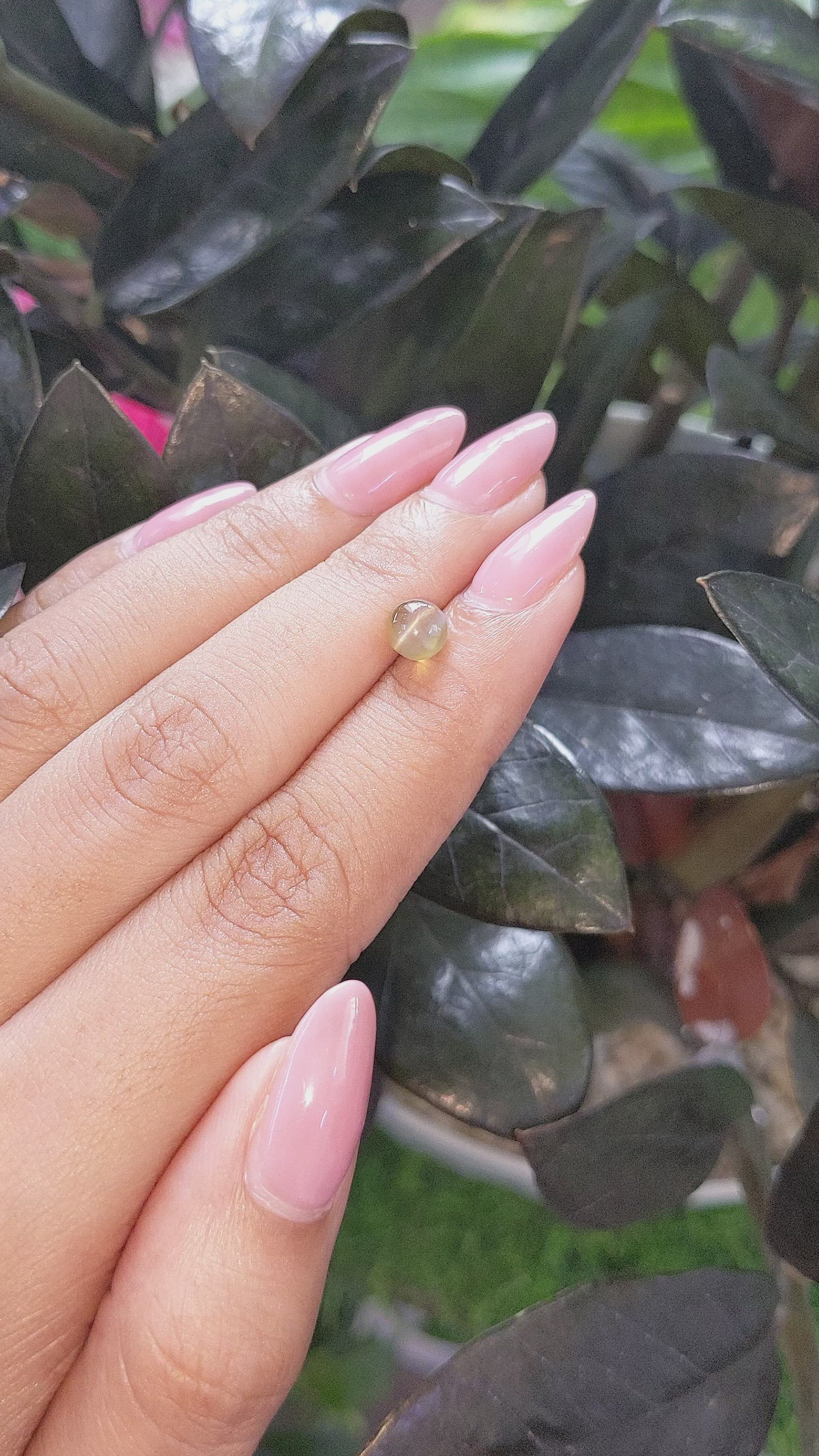 1.65 Ct. Greenish Brown Cabochon Chrysoberyl from Tanzania Size Video