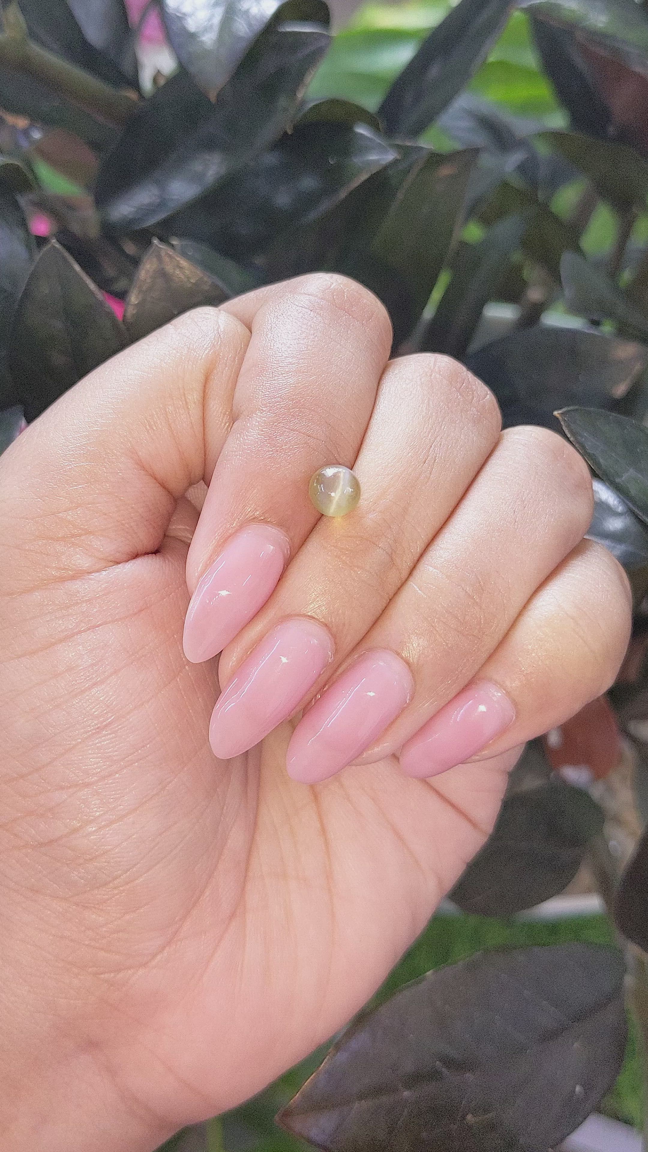 1.65 Ct. Greenish Brown Cabochon Chrysoberyl from Tanzania Size Video