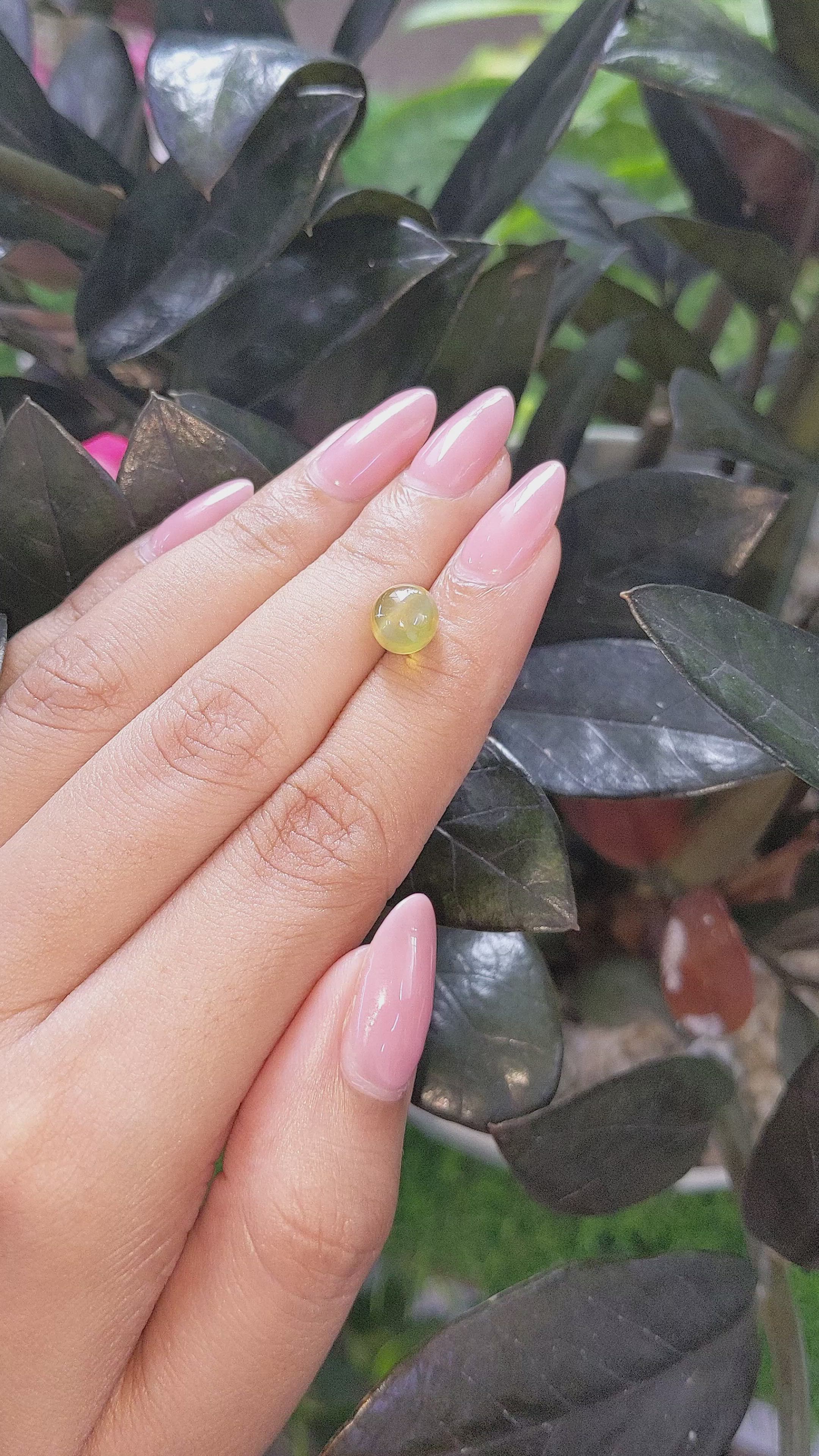 3.62 Ct. Yellowish Green Cabochon Chrysoberyl from Tanzania Size Video