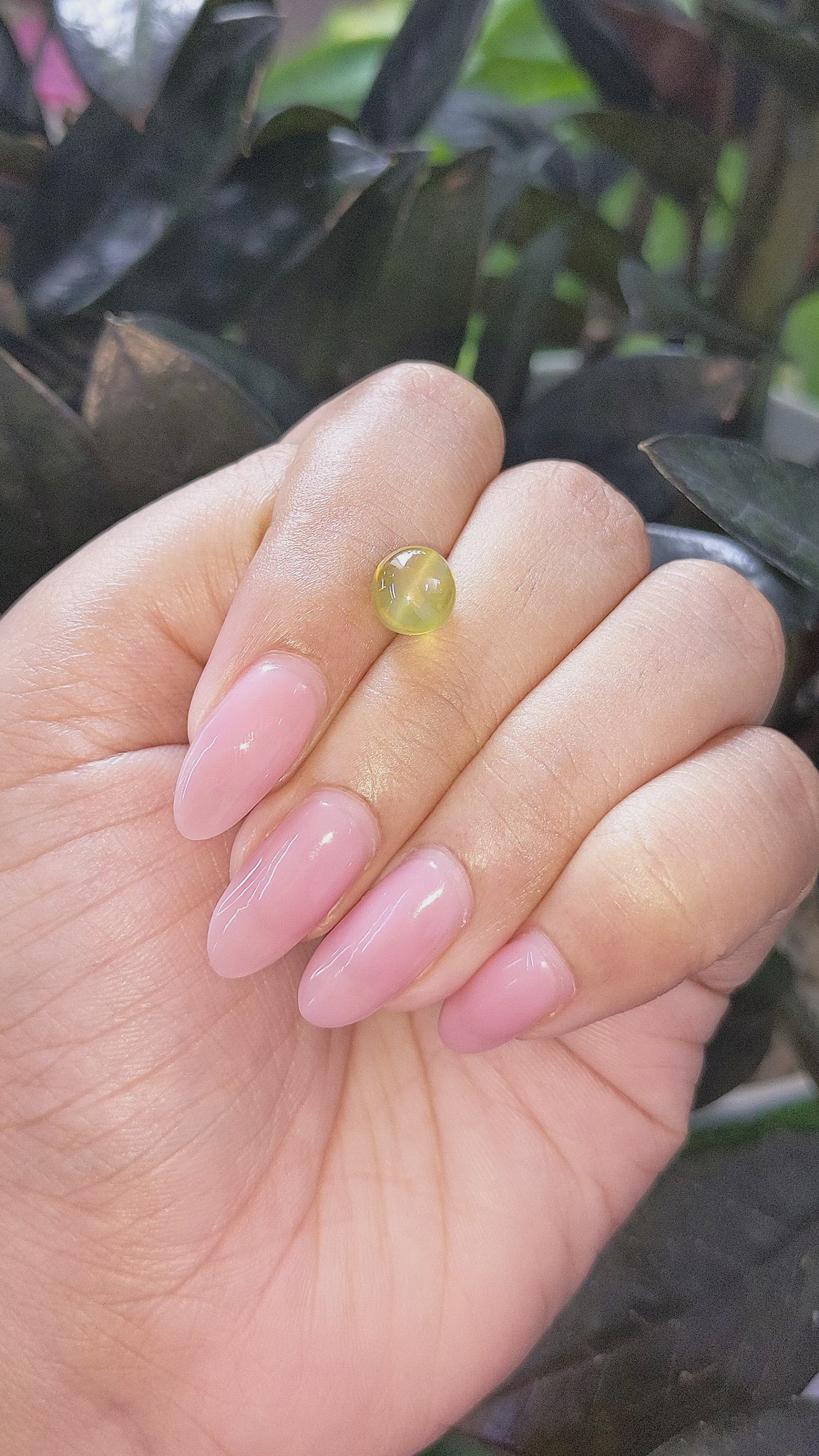 3.62 Ct. Yellowish Green Cabochon Chrysoberyl from Tanzania Size Video