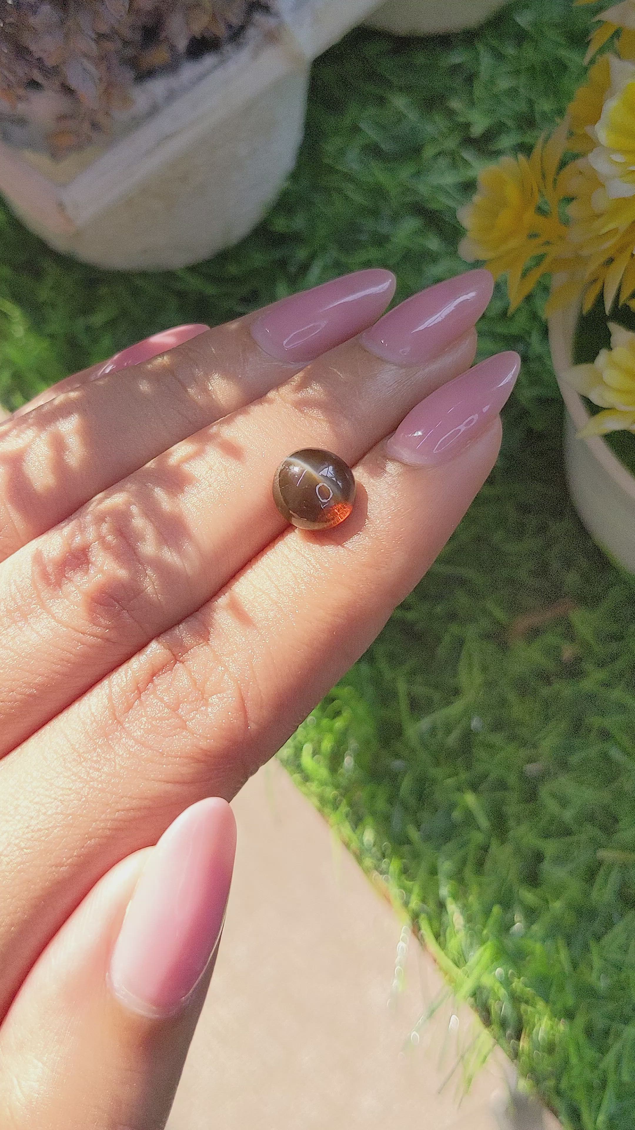 3.67 Ct. Brown Cabochon Chrysoberyl from Tanzania Size Video