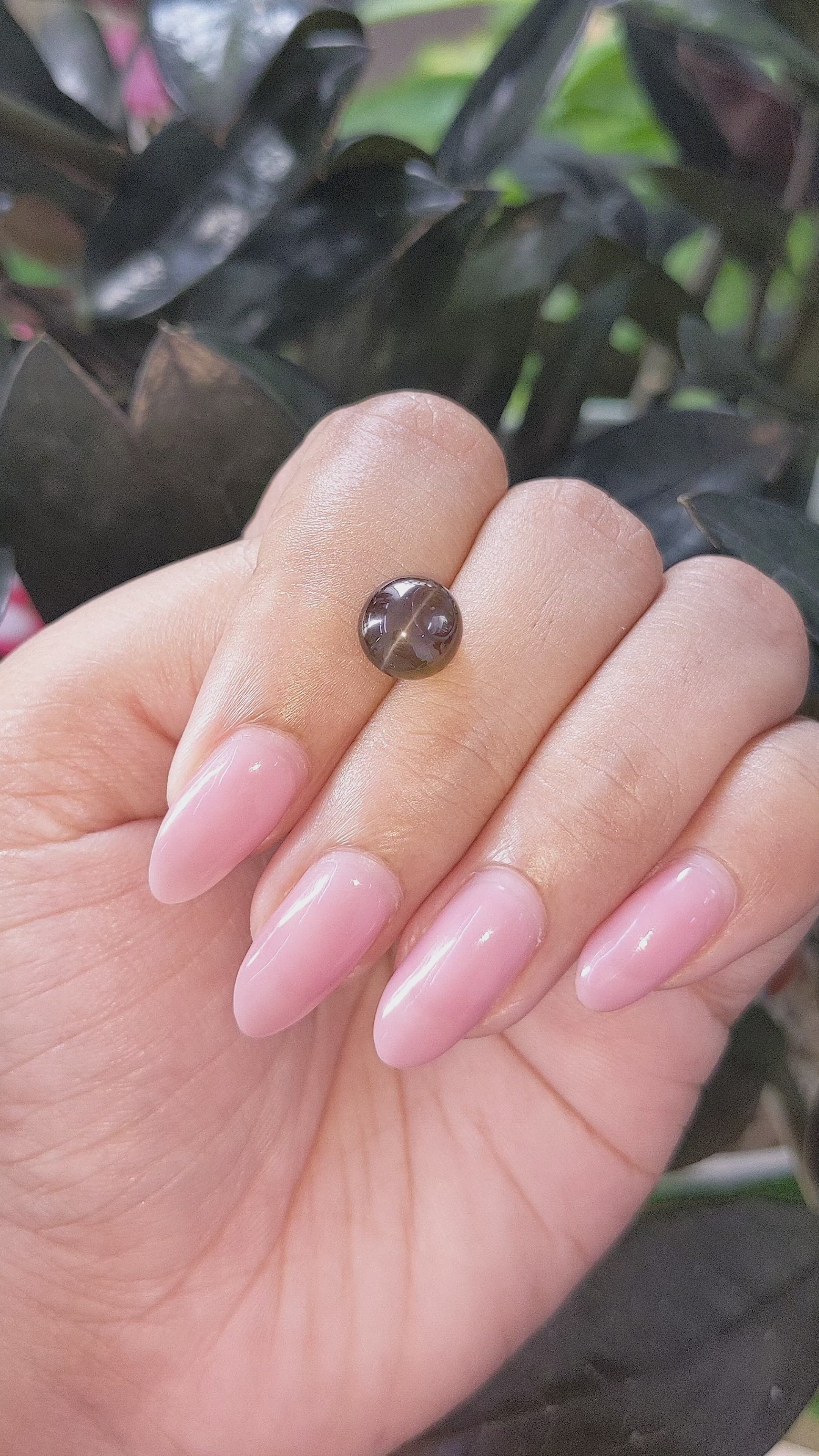 3.67 Ct. Brown Cabochon Chrysoberyl from Tanzania Size Video