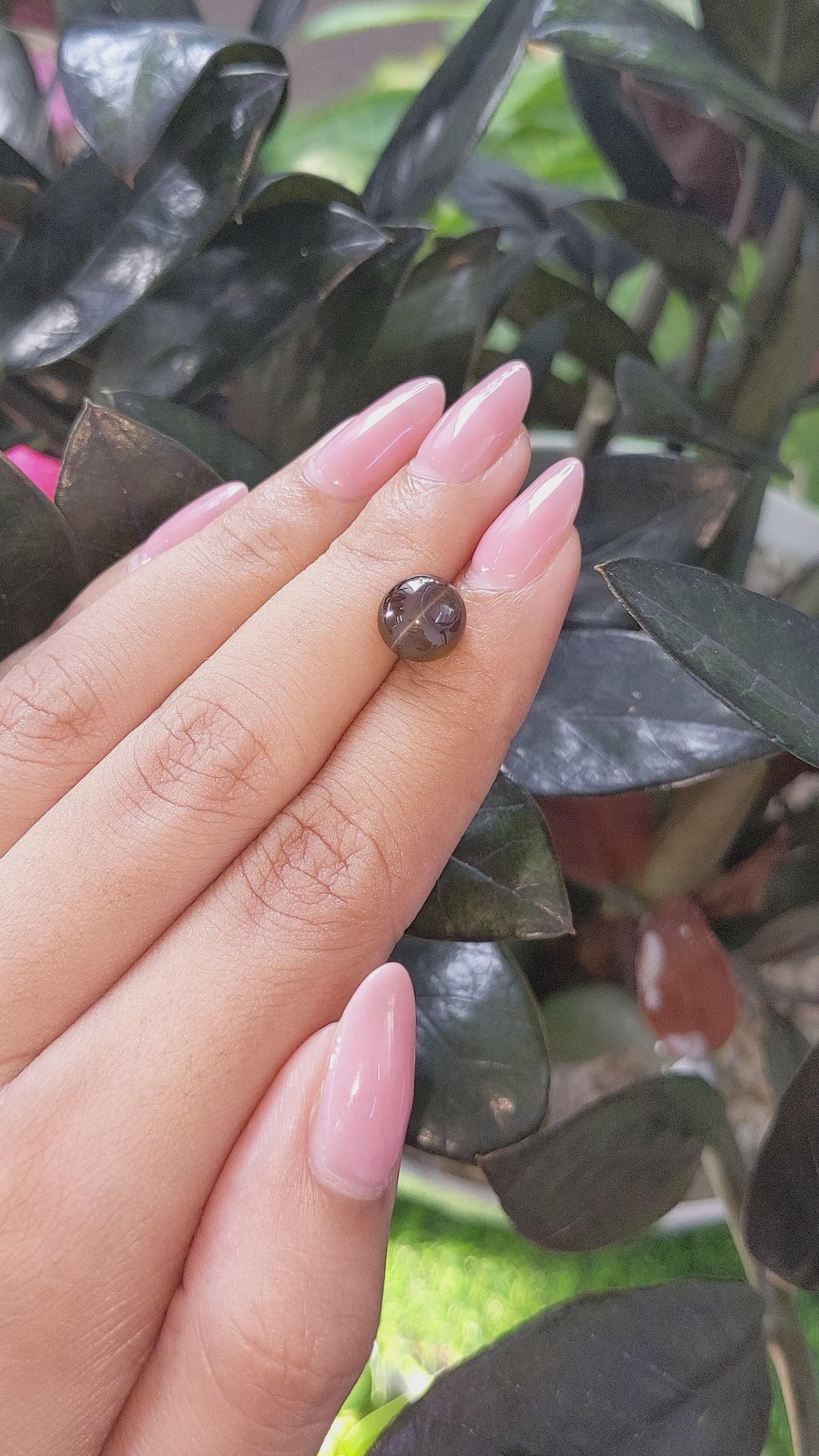 3.67 Ct. Brown Cabochon Chrysoberyl from Tanzania Size Video