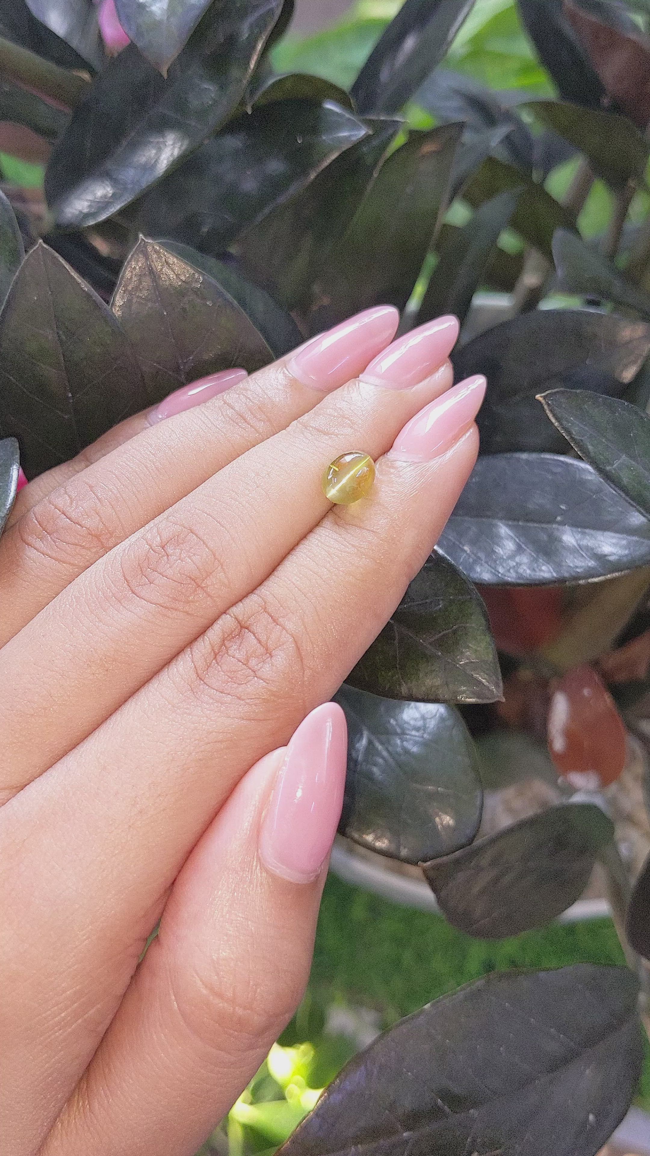 1.94 Ct. Greenish Yellow Cabochon Chrysoberyl from Tanzania Size Video