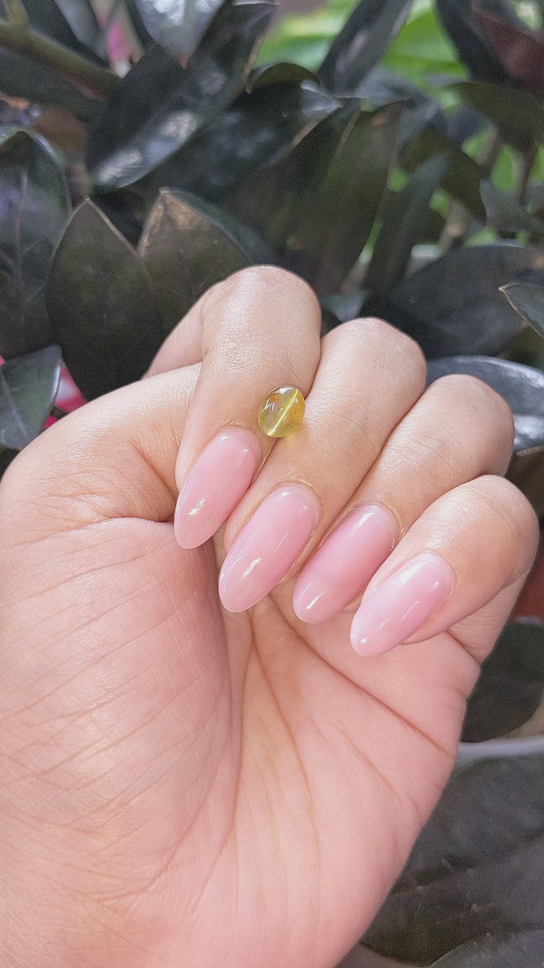 1.94 Ct. Greenish Yellow Cabochon Chrysoberyl from Tanzania Size Video